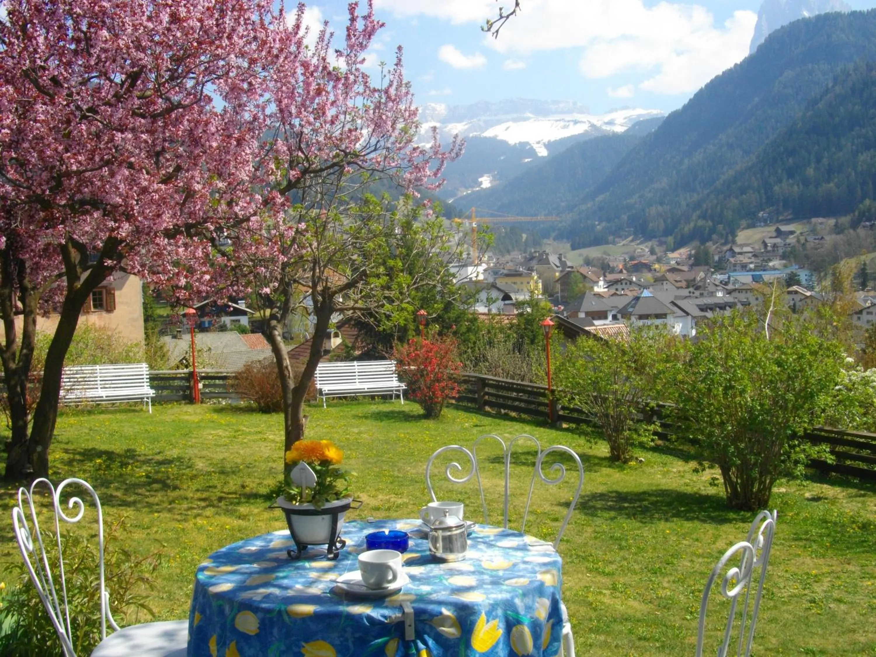 Garden in Hotel Villa Emilia