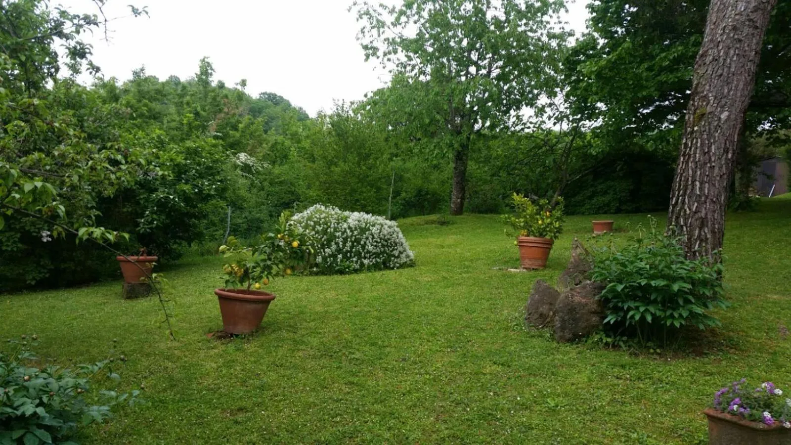 Garden view in Villa del lago