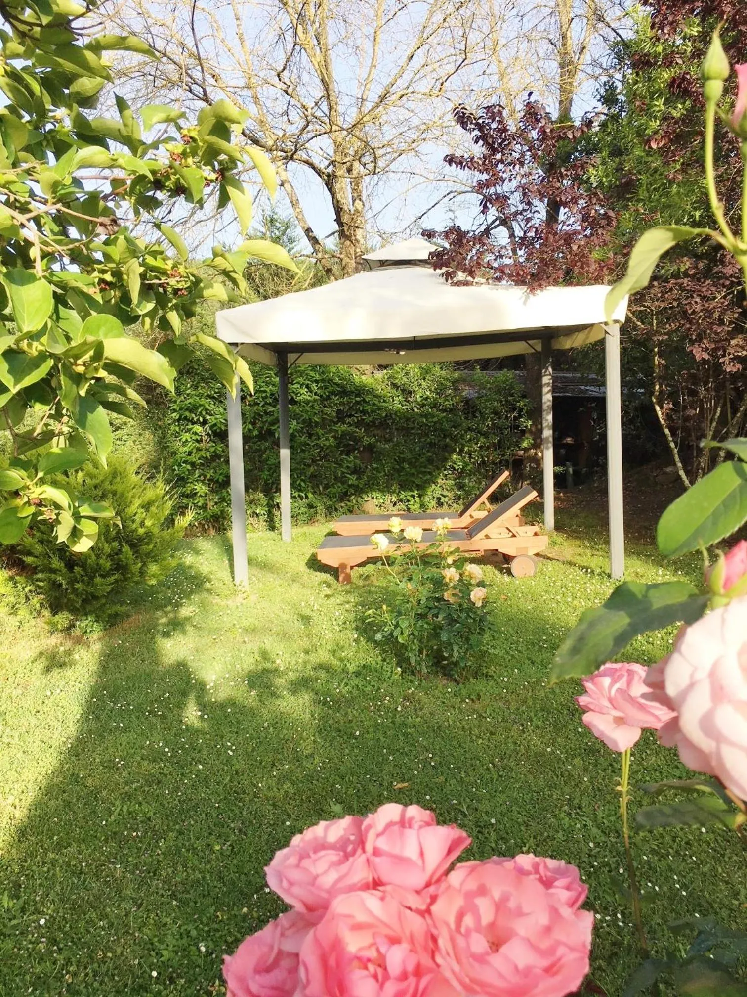 Garden in Villa del lago