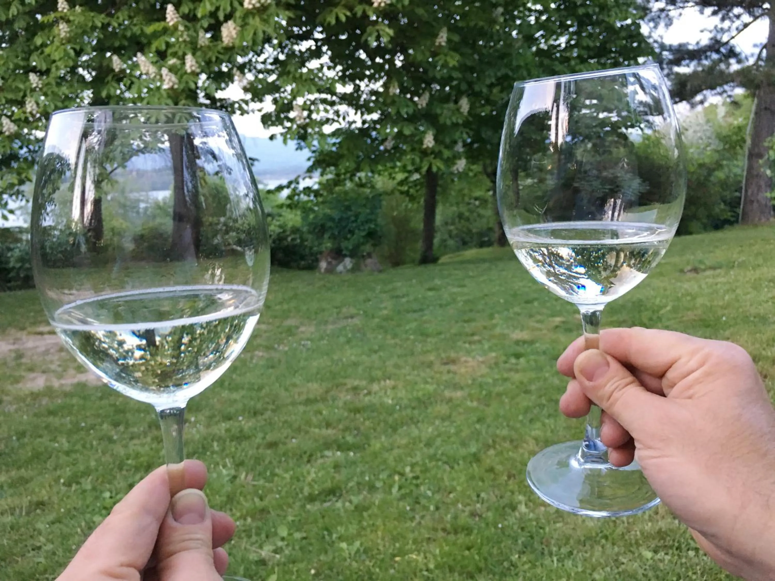 Drinks in Villa del lago