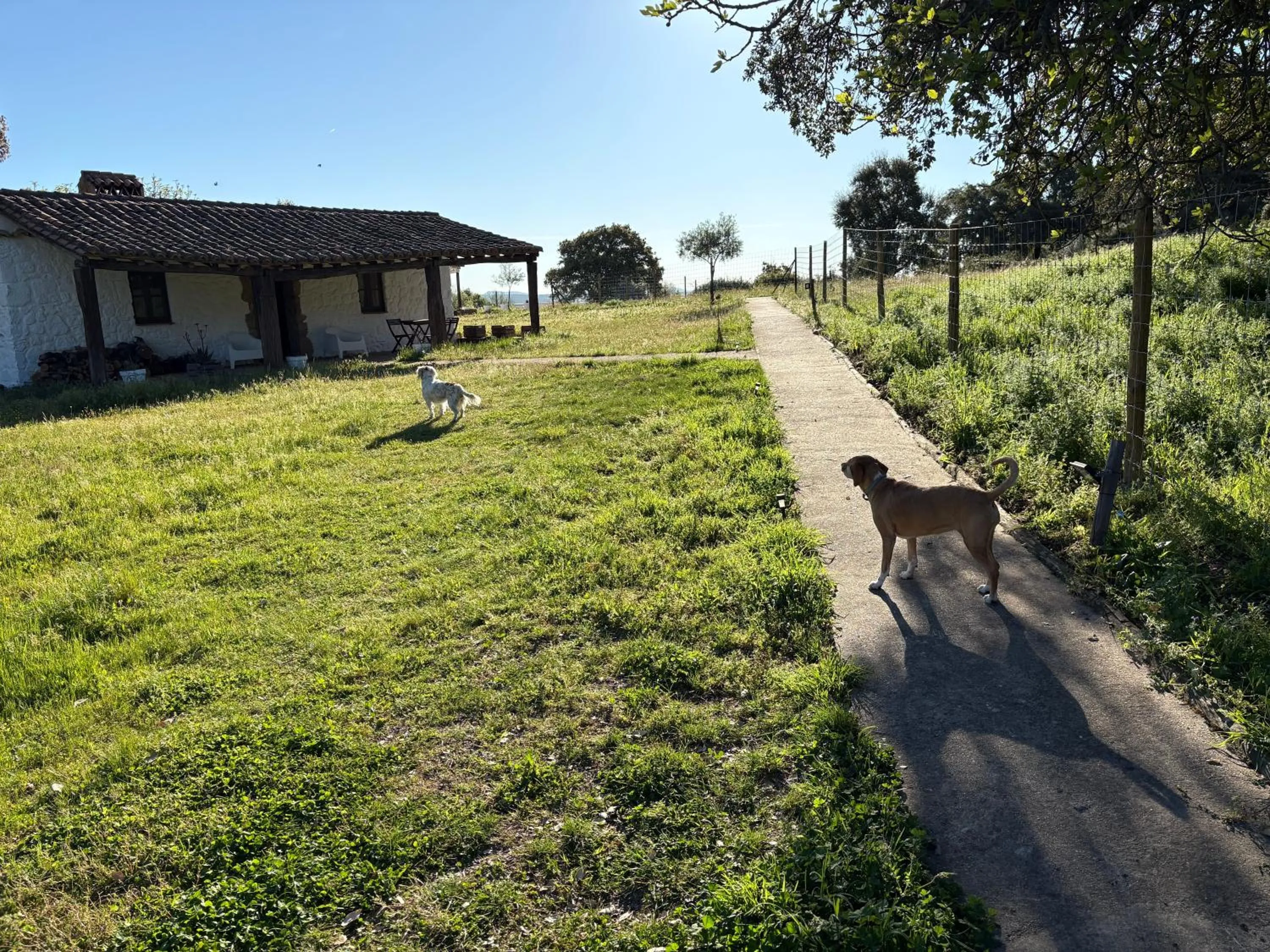 Apartamentos Rurales Escobar & Jerez