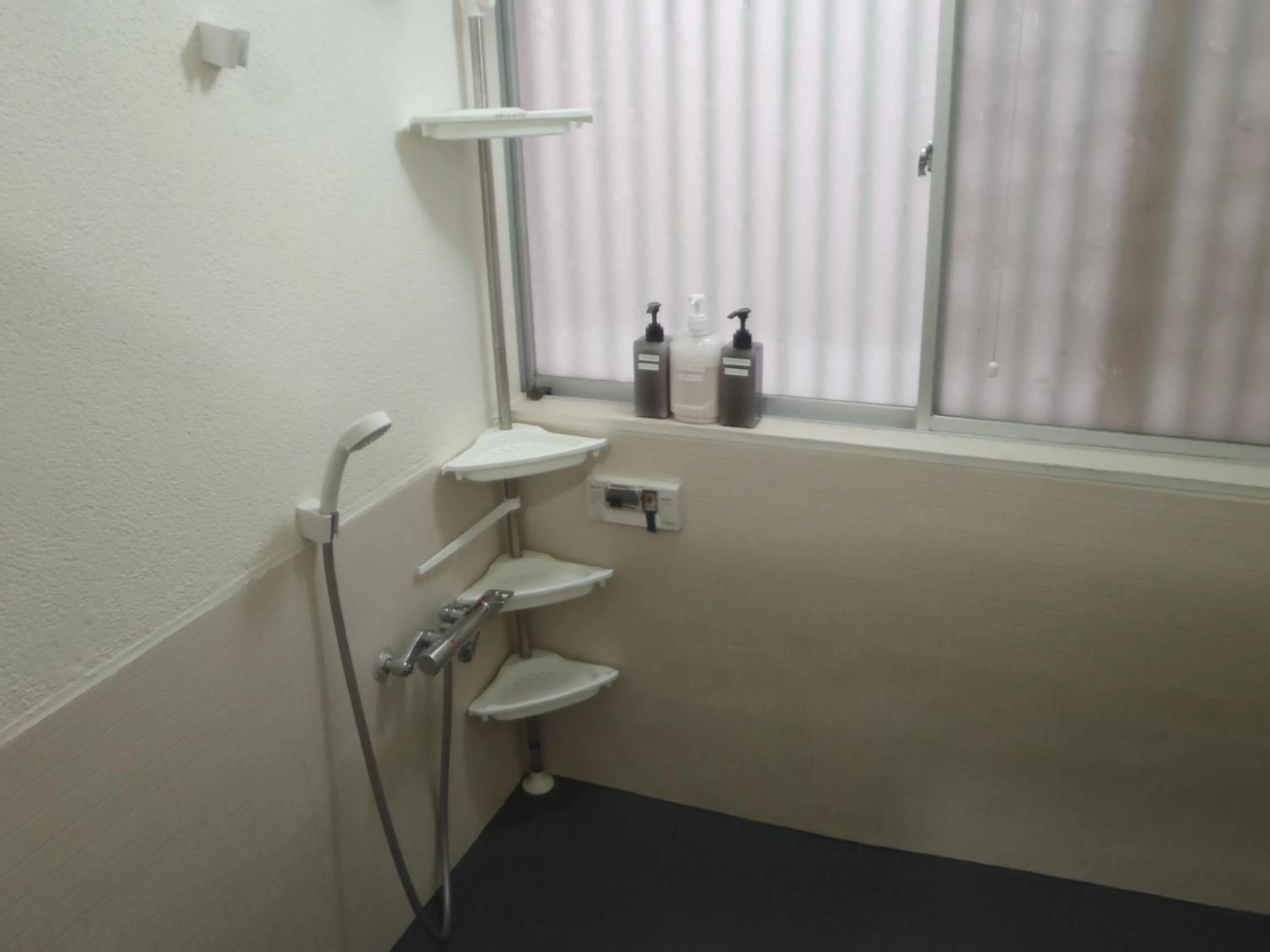 Shower in Mike's B&B Tokoname