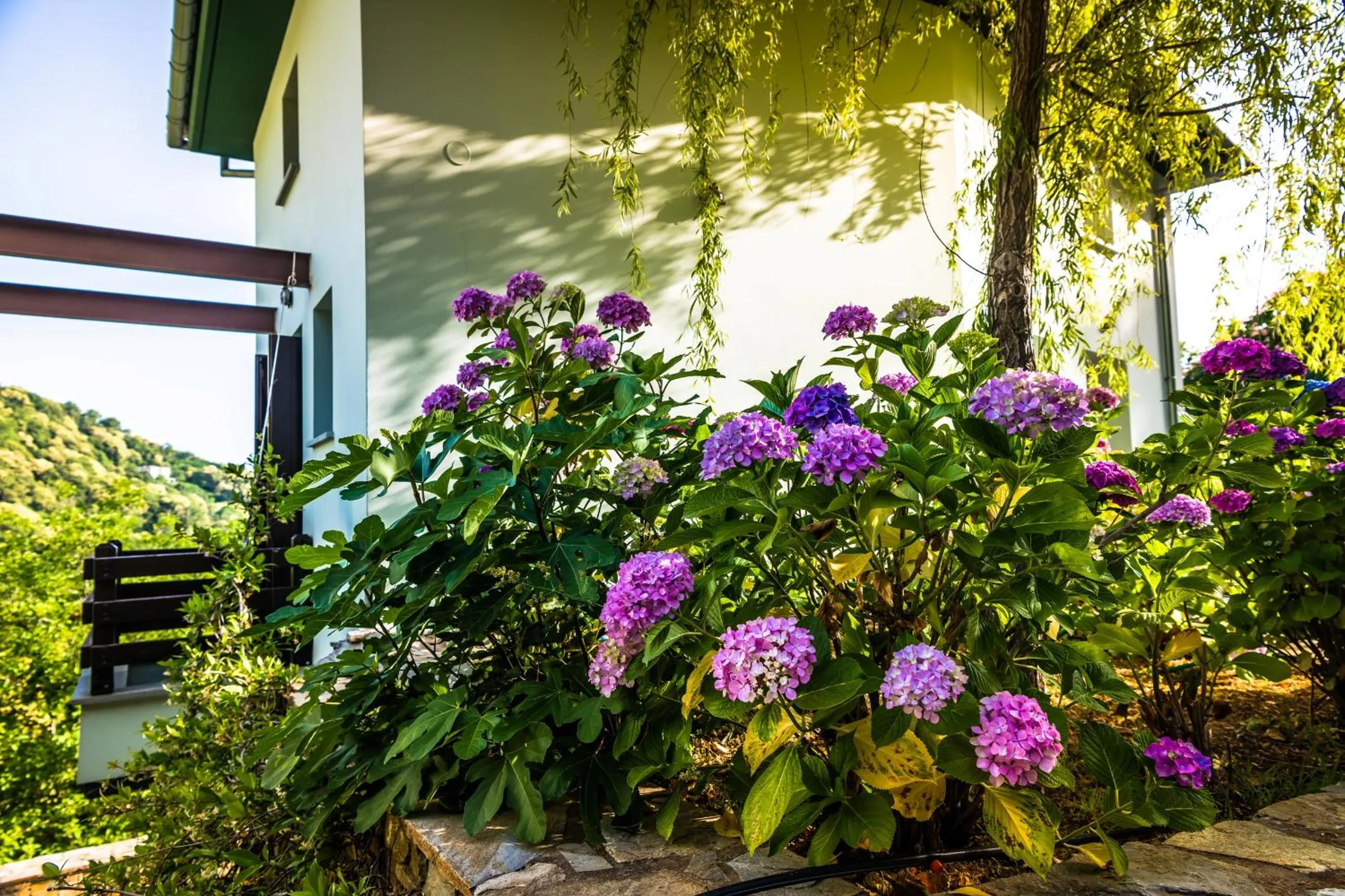 Garden in Nymfes