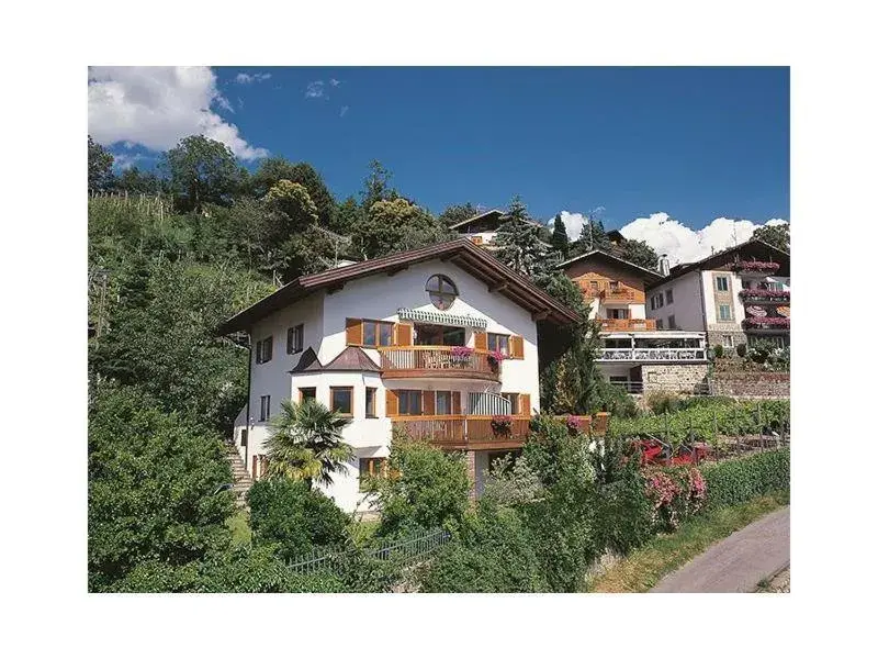 Villa Falkner Villa Falkner