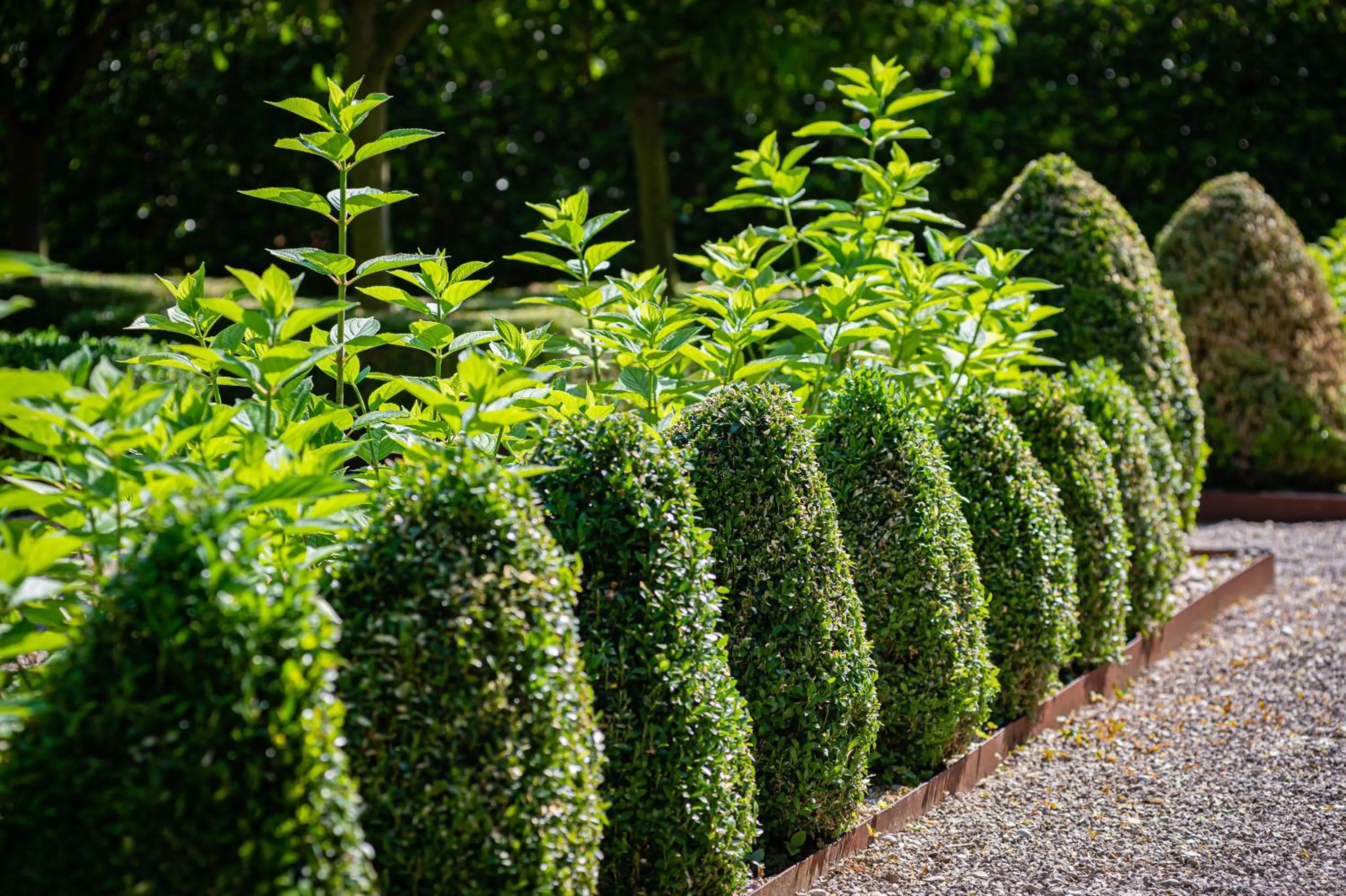 Garden view in Fiori e Frutti Agriresort