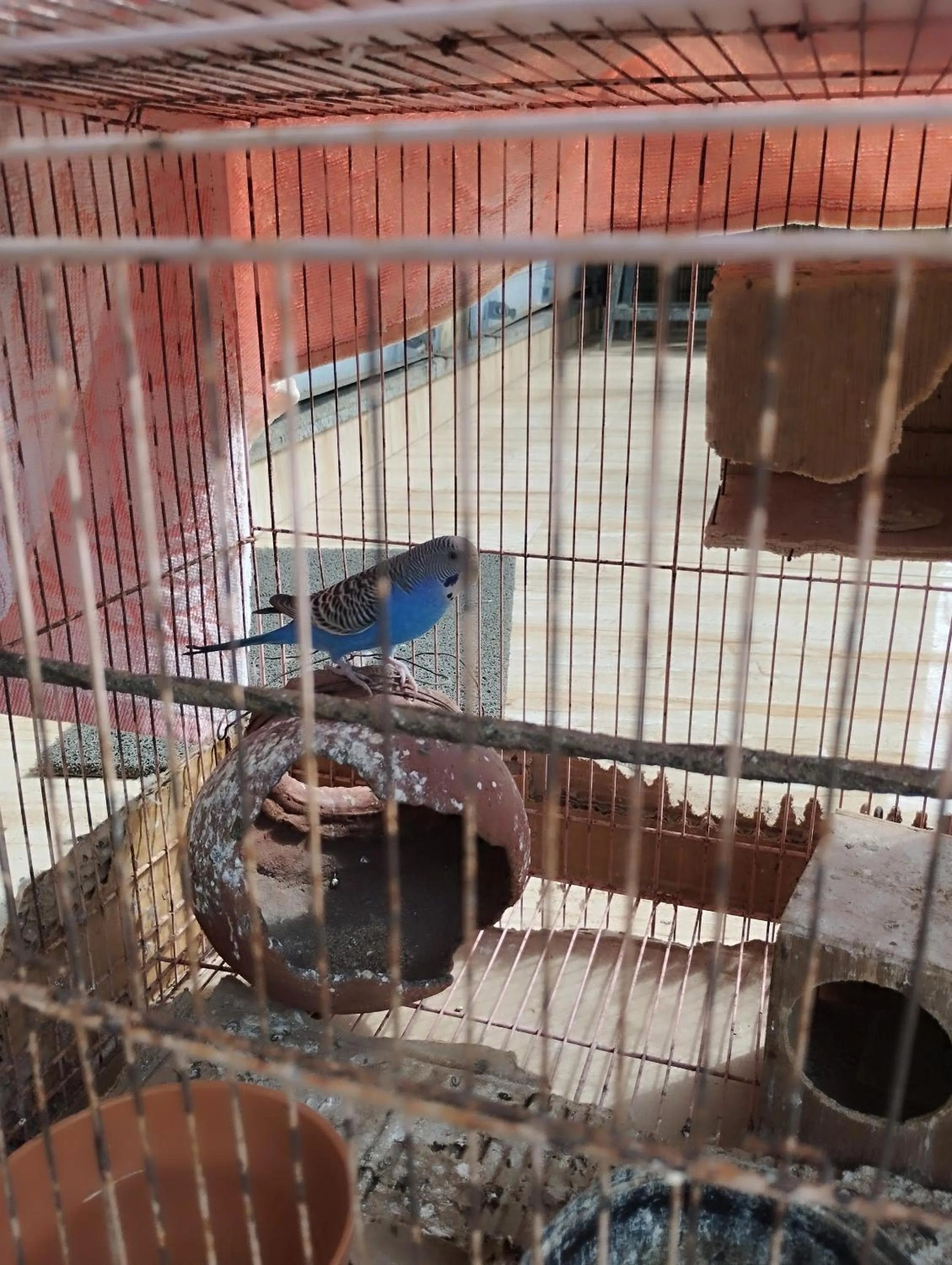 Hotel Grand Murud janjira