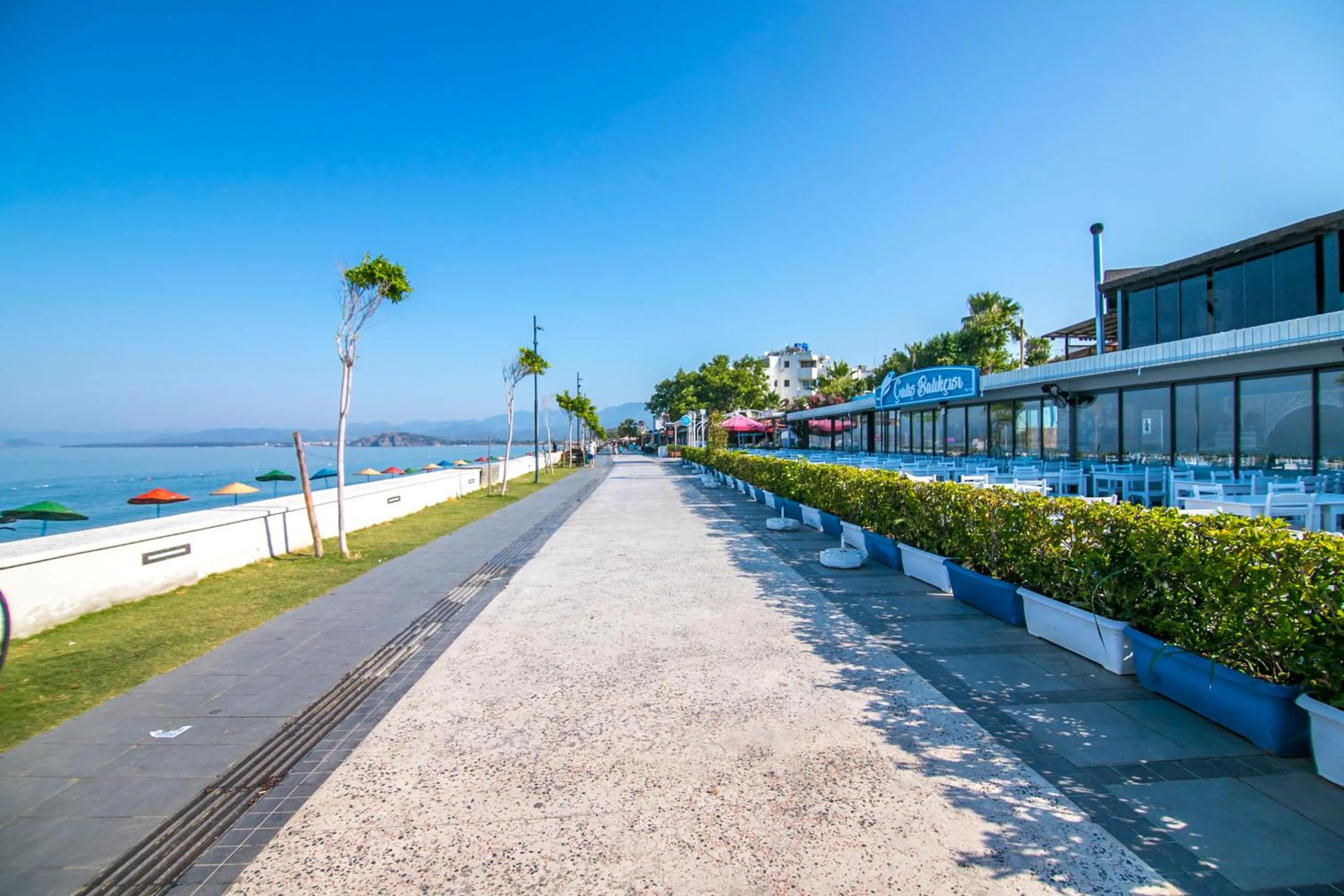 Beach in Bahar Hotels