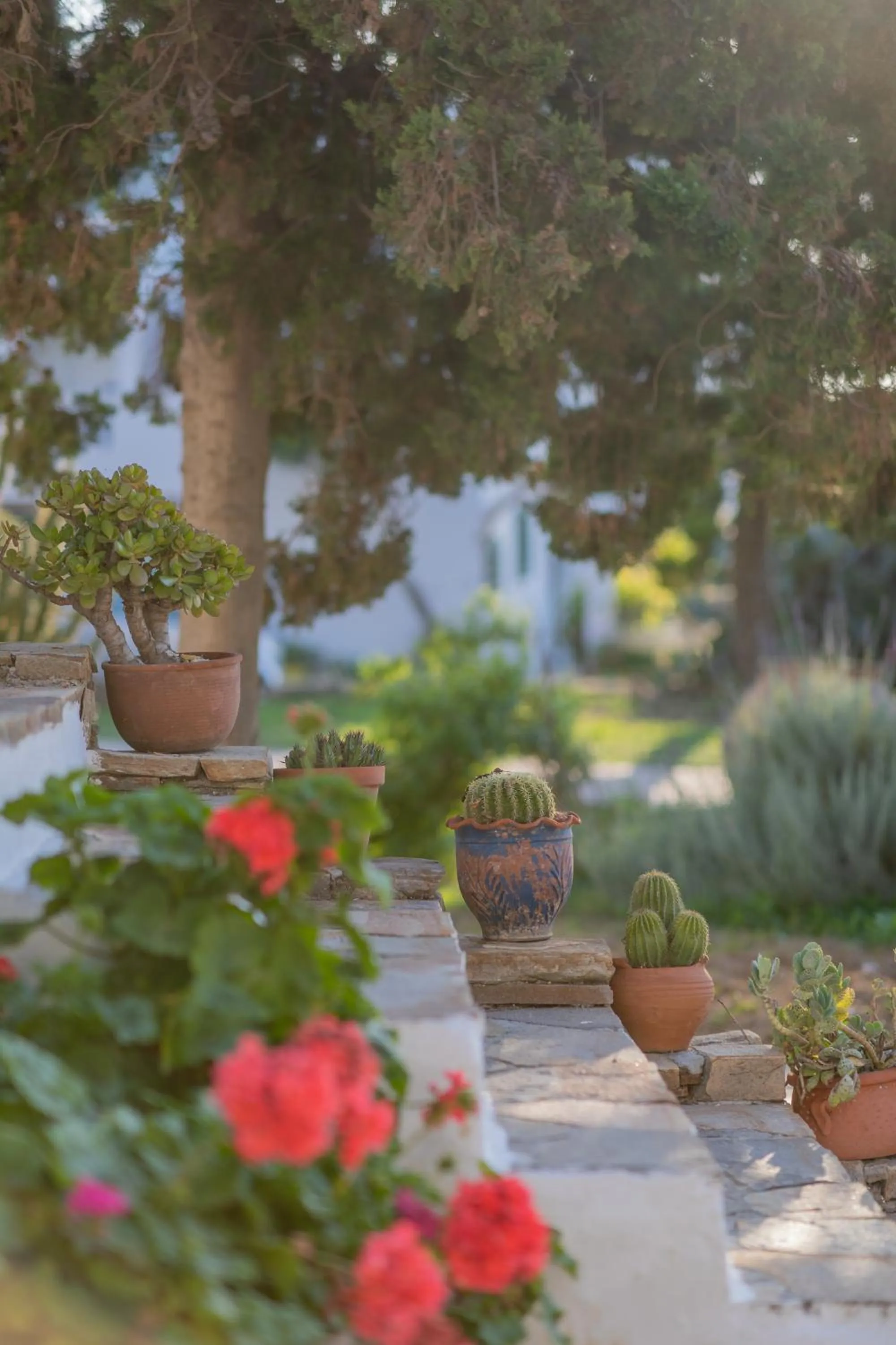 Day in Antonina Hotel