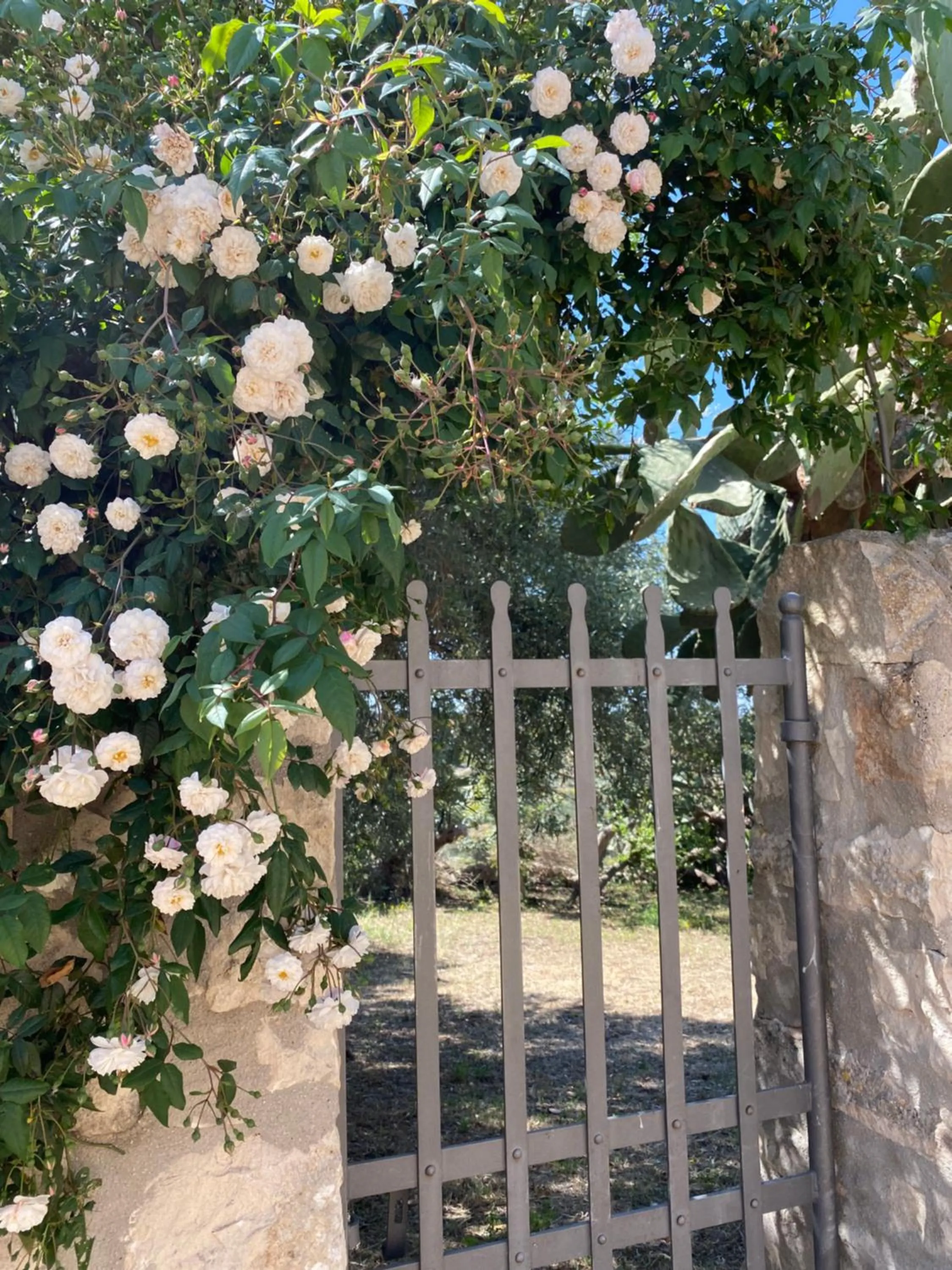 Tenuta Cammarana