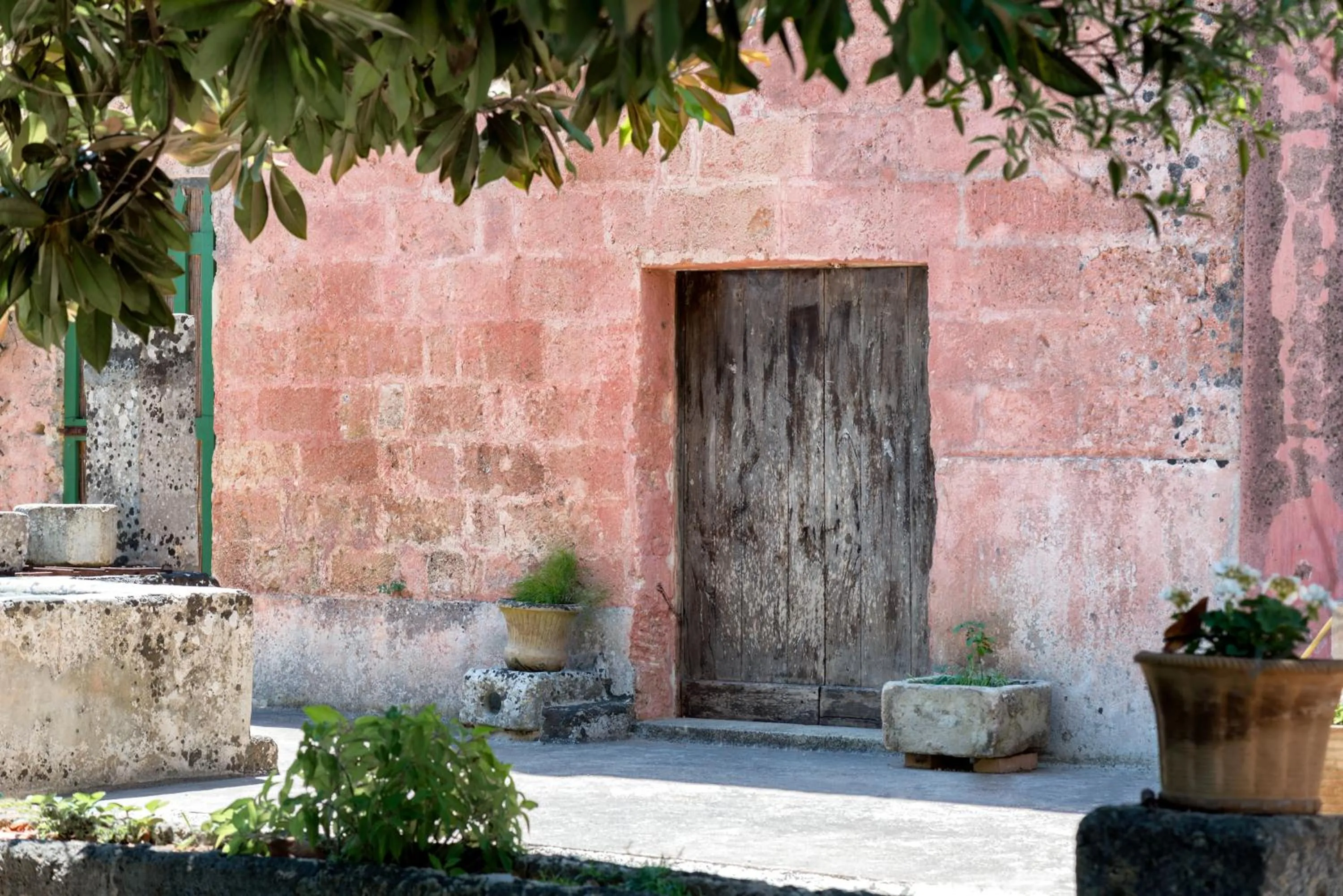 Garden in Palazzo Laura