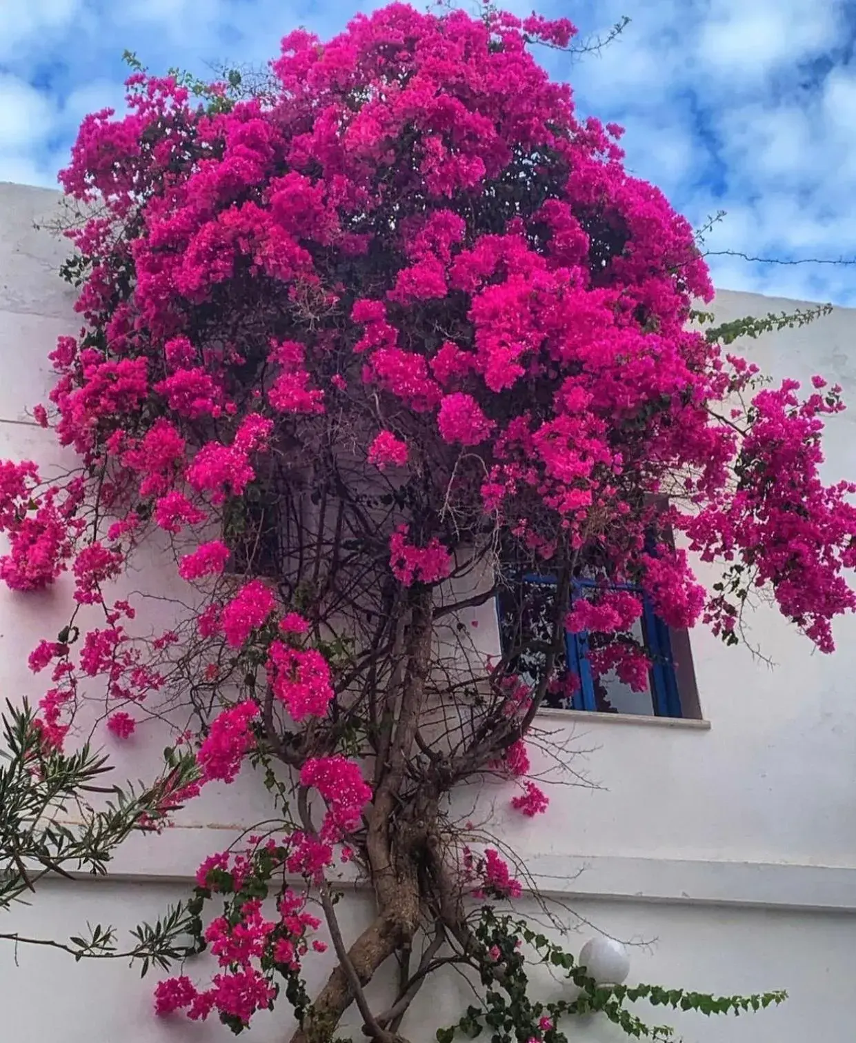 Property building in Mare Naxia Hotel Property building in Mare Naxia Hotel