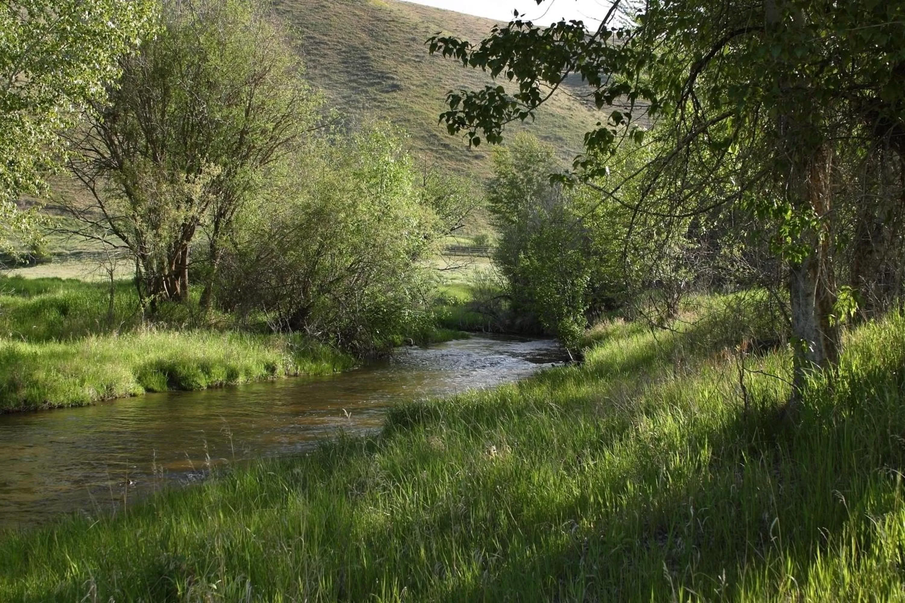 Natural landscape in Rye Creek Lodge