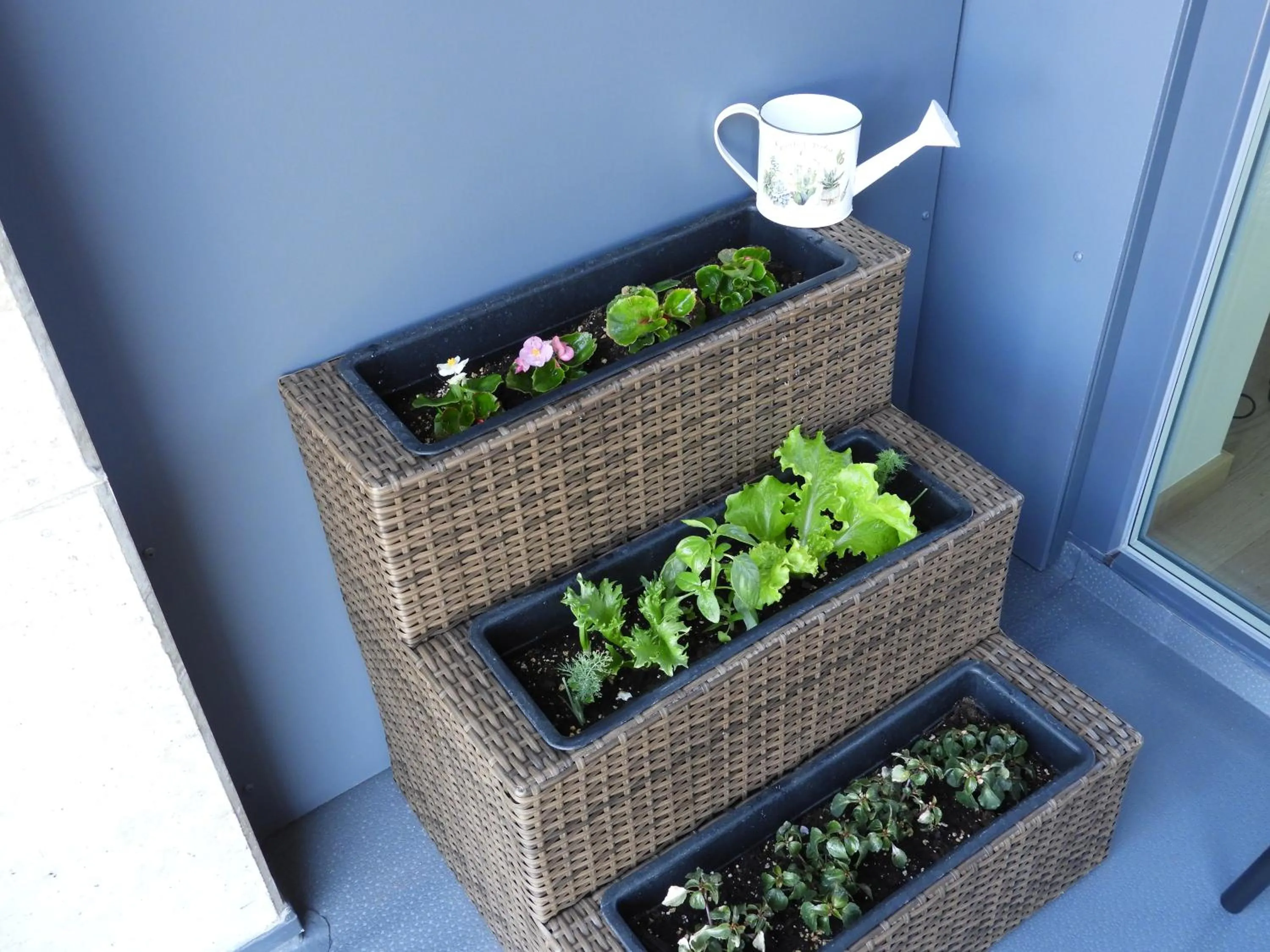 Decorative detail in Martensi Maja