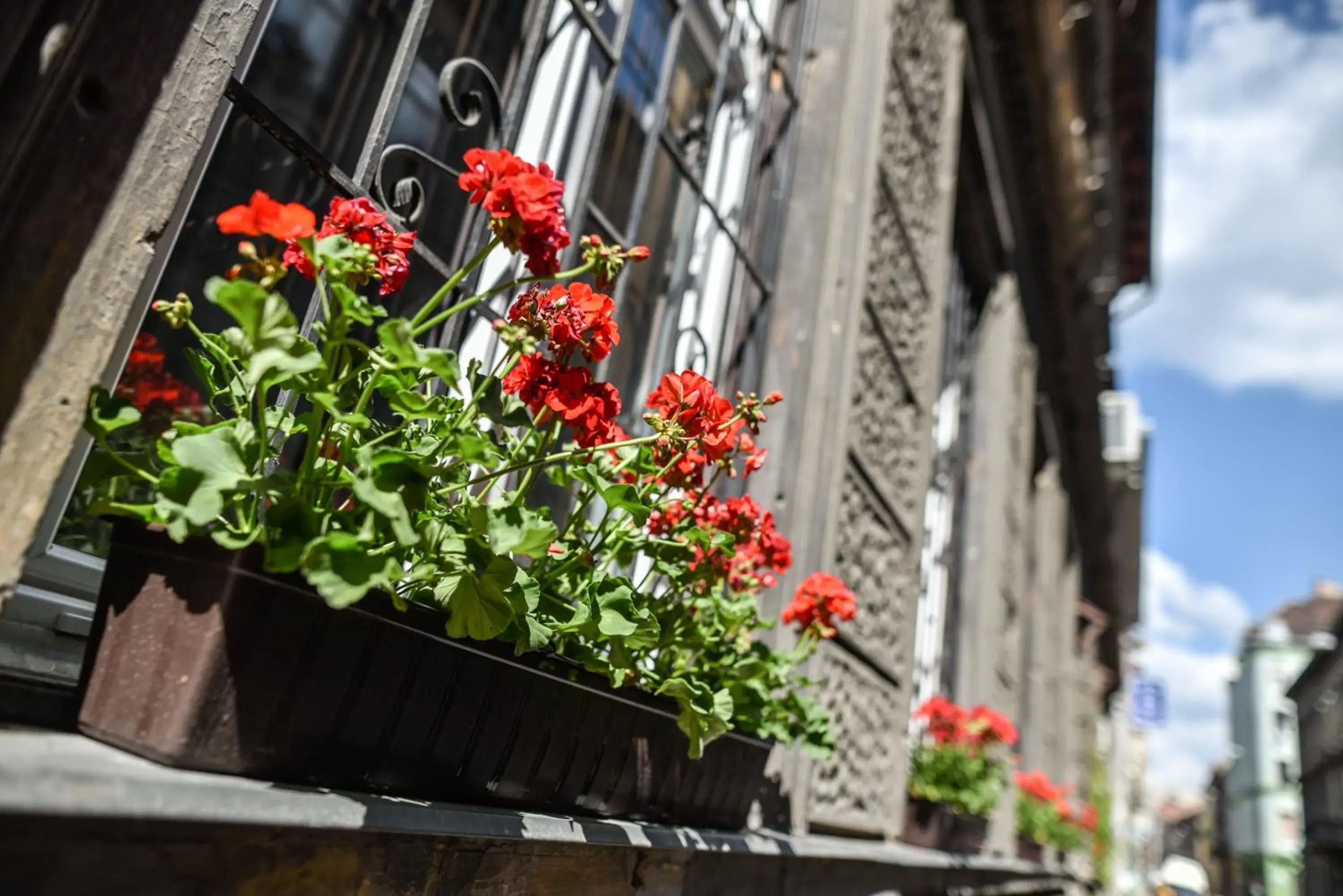 Property building in Corvin Point Rooms and Apartments Property building in Corvin Point Rooms and Apartments