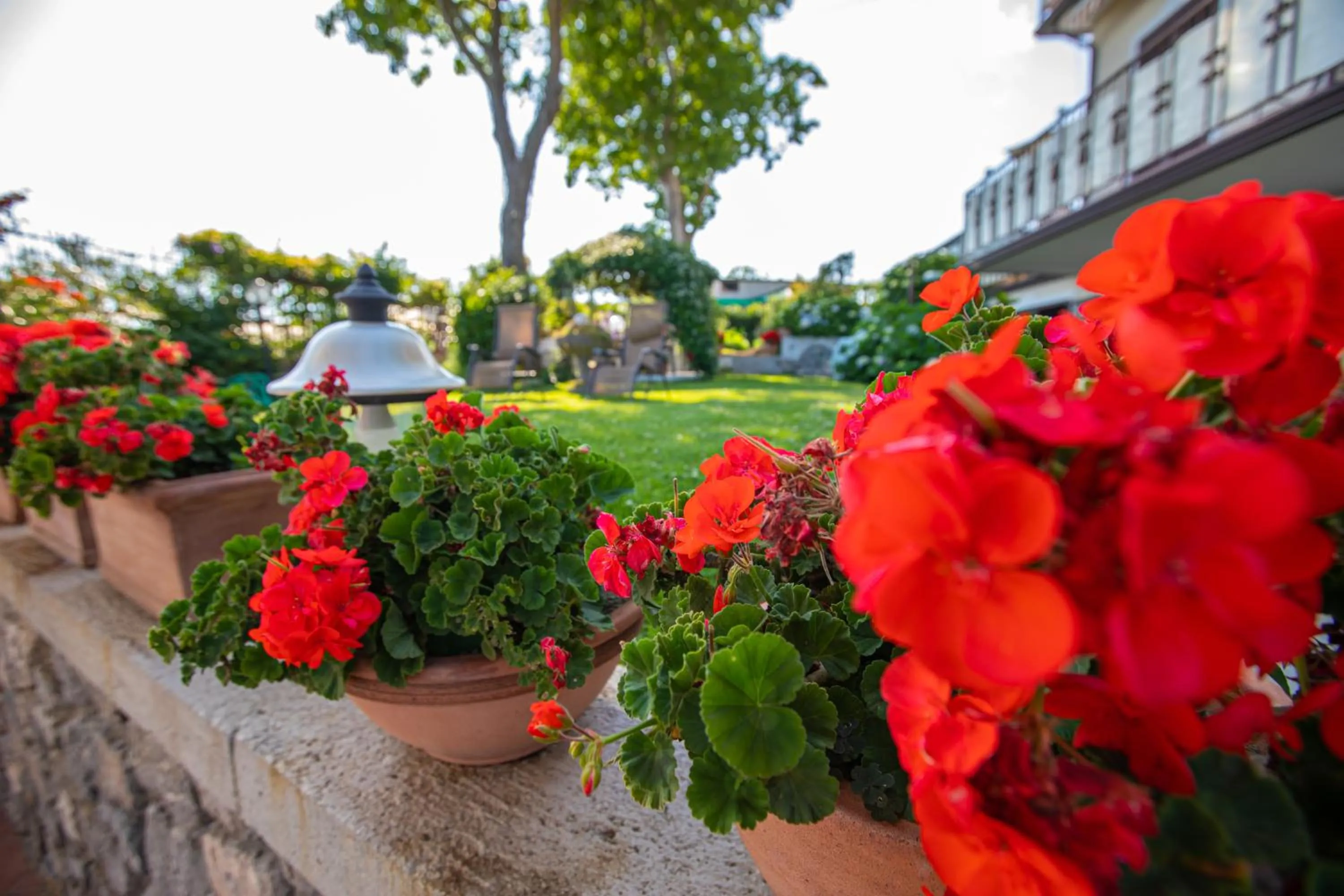 Garden in Nido Degli Dei