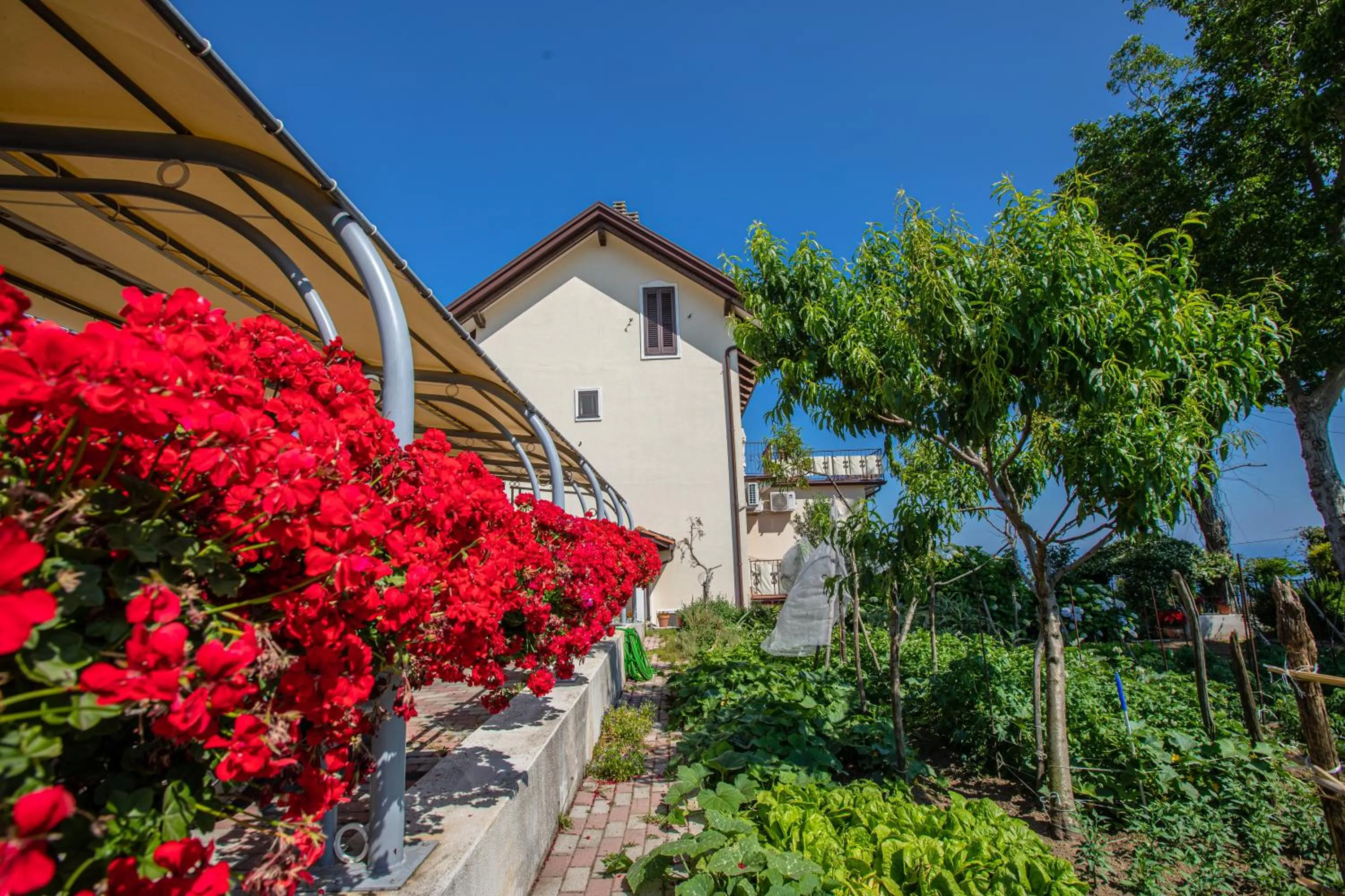 Property building in Nido Degli Dei