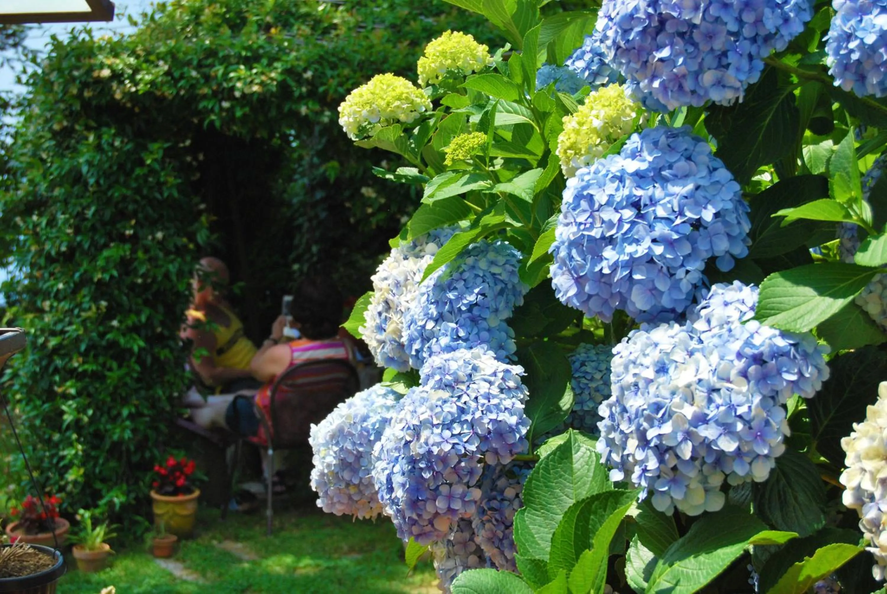 Garden in Nido Degli Dei