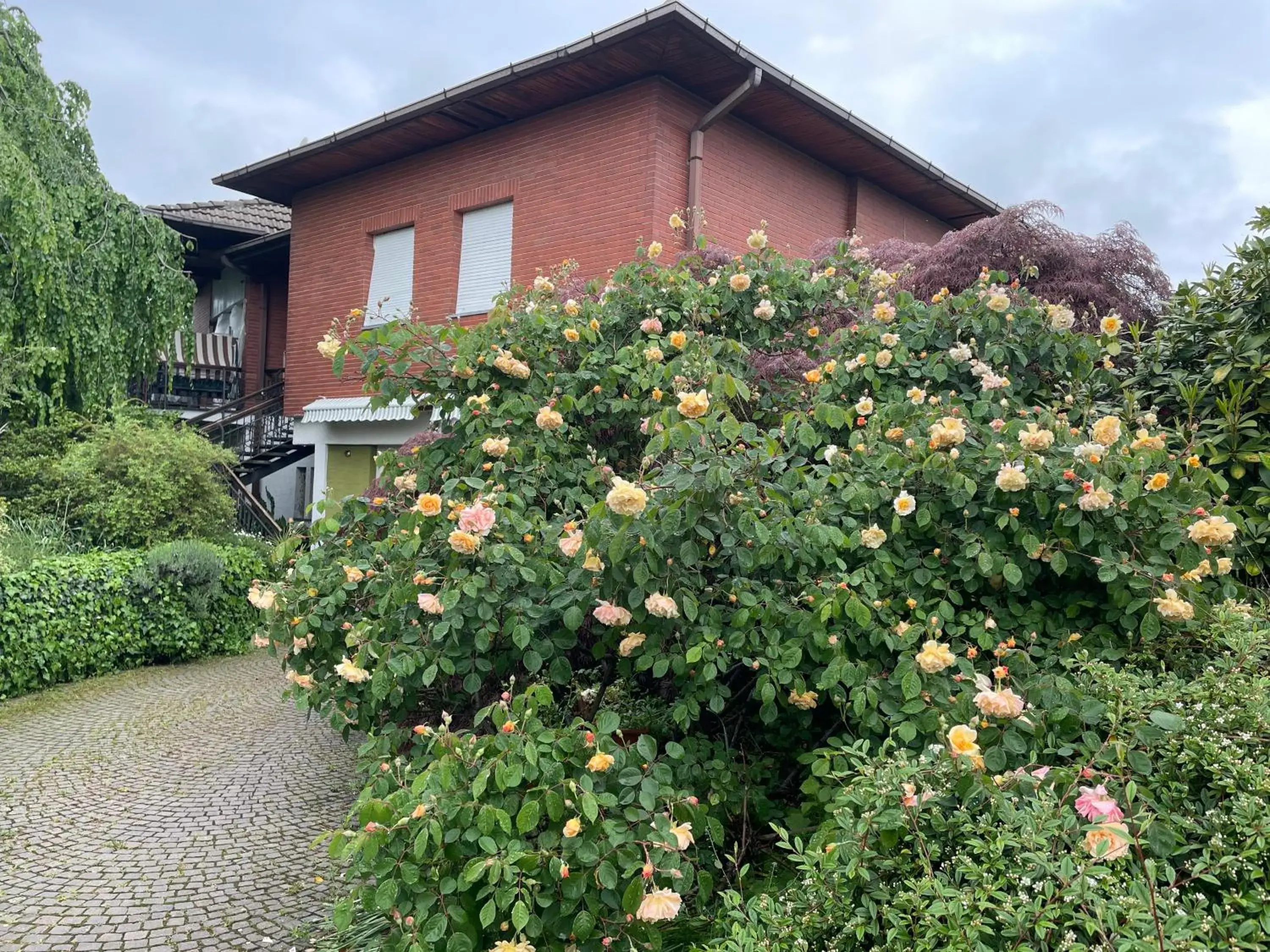 B&B Villa Giardini Susanna B&B Villa Giardini Susanna