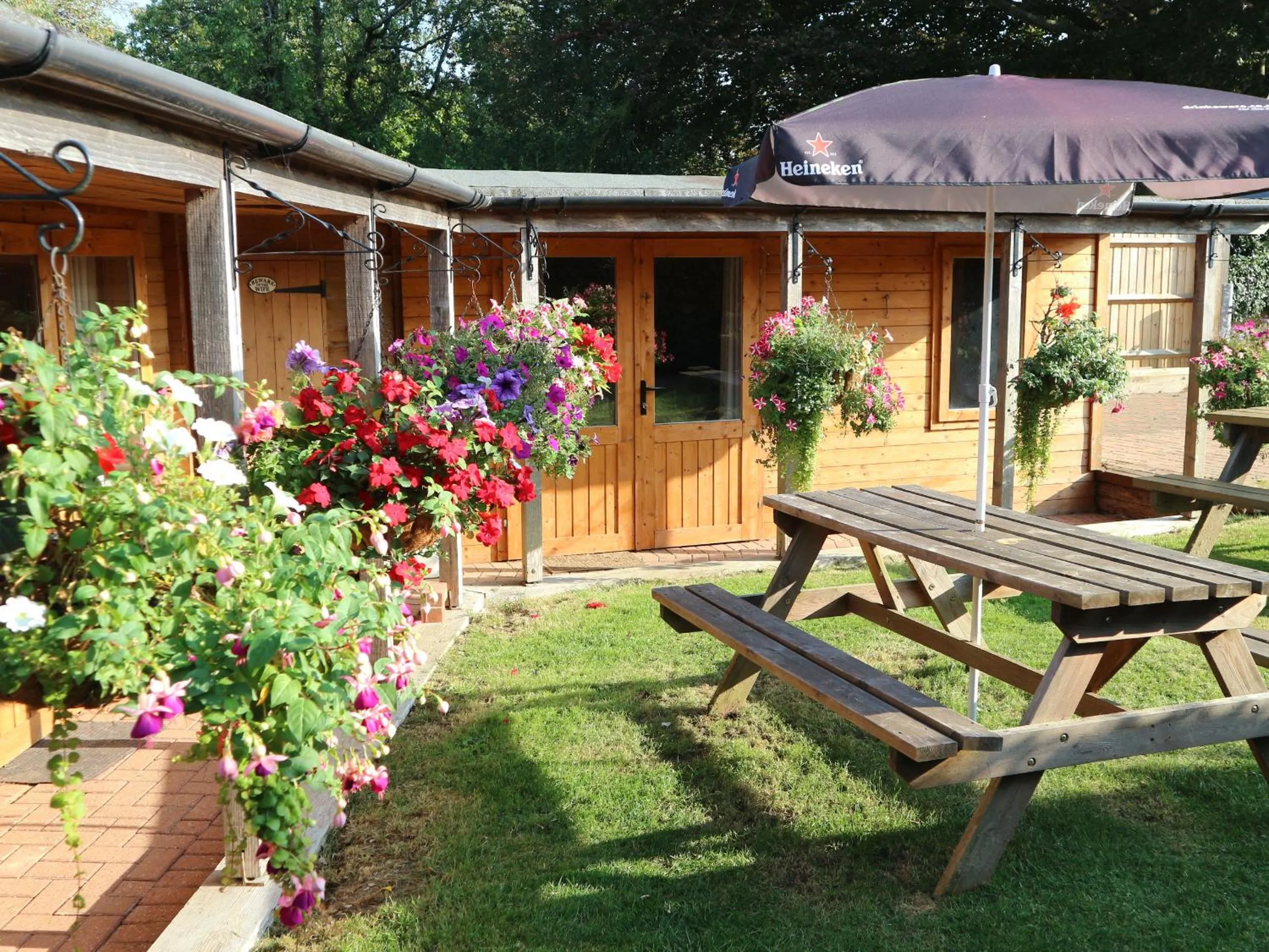 Garden in Homeside B&B