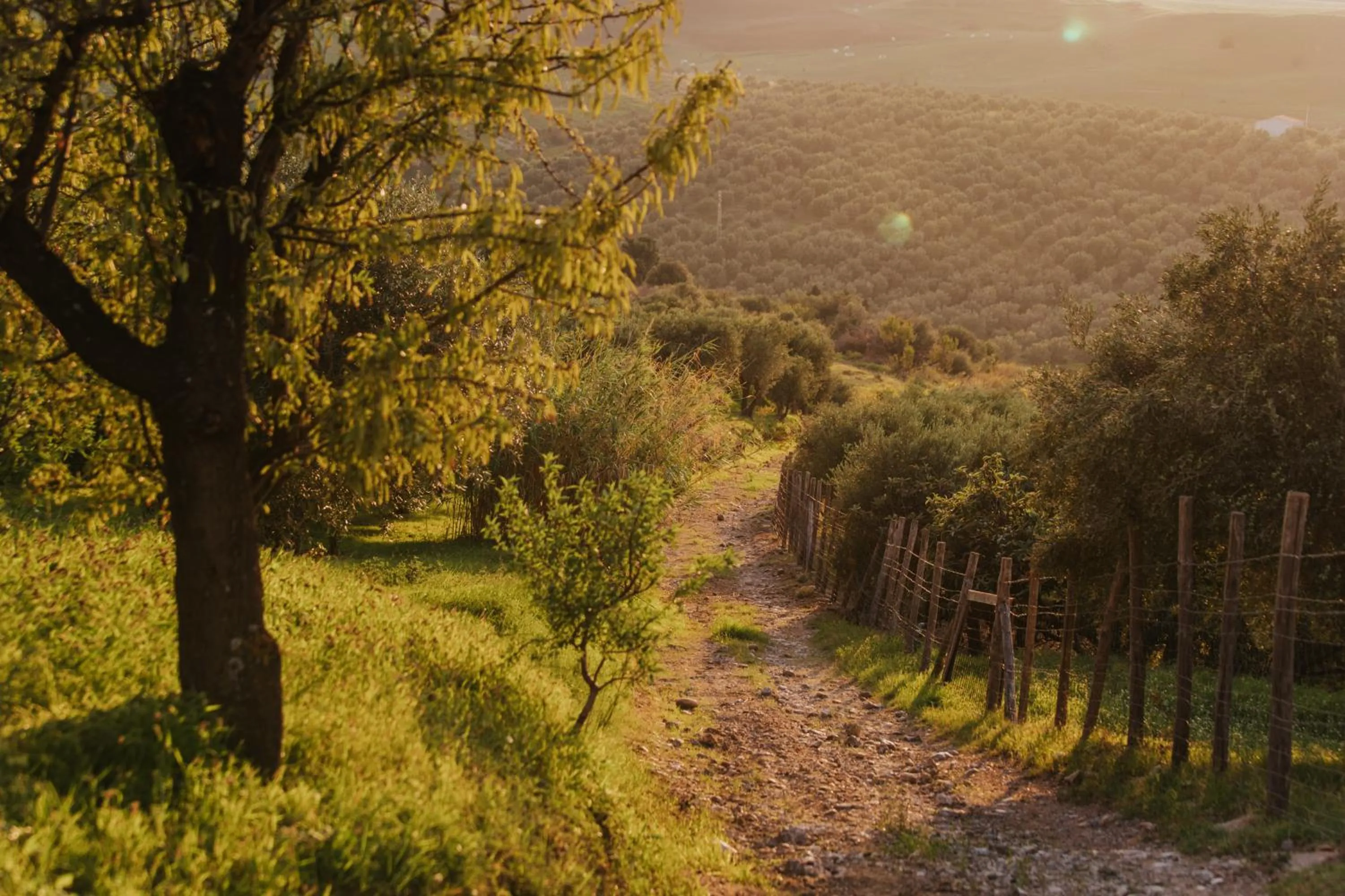 Natural landscape in Terre Di Himera