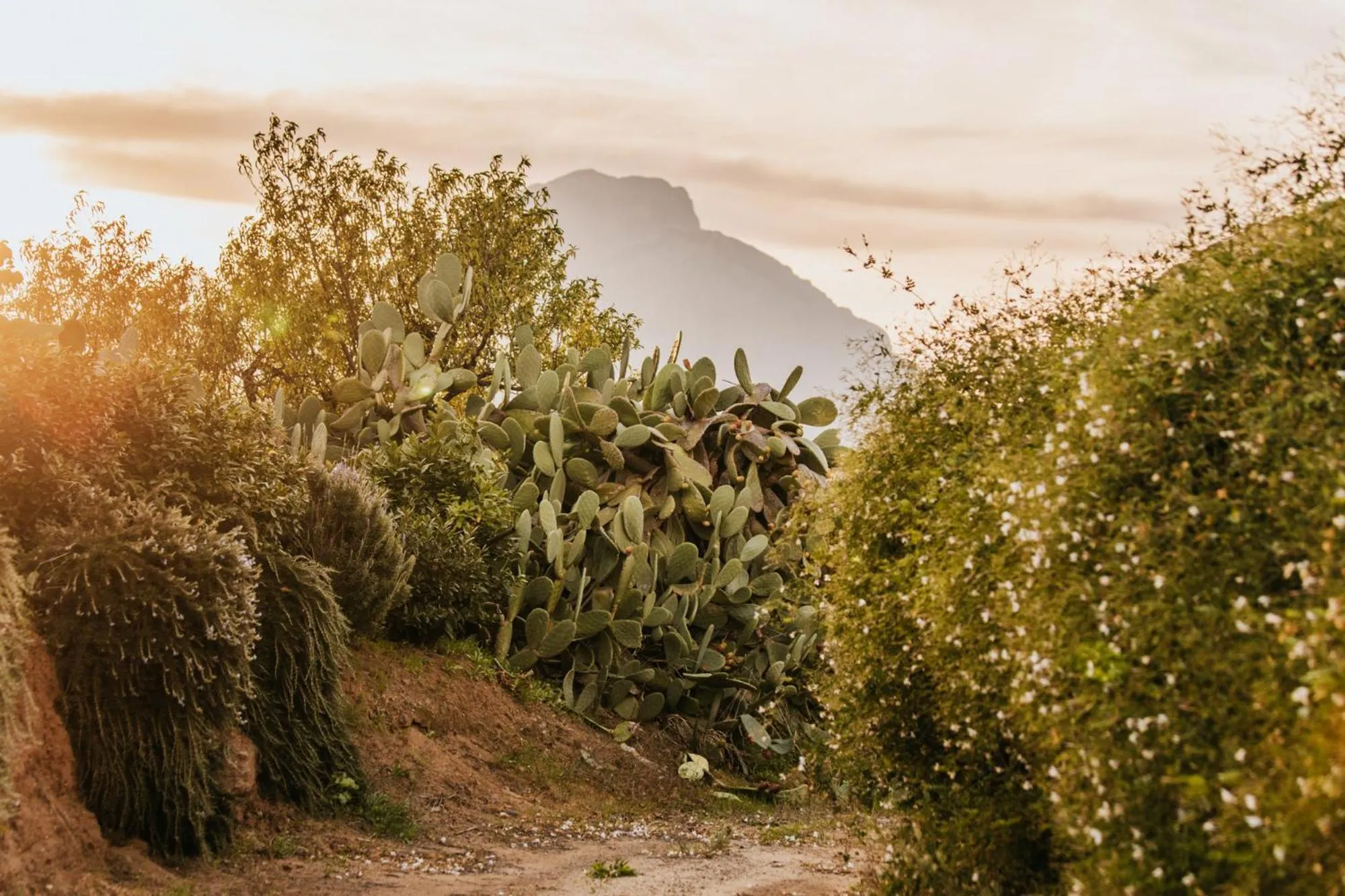 Mountain view in Terre Di Himera