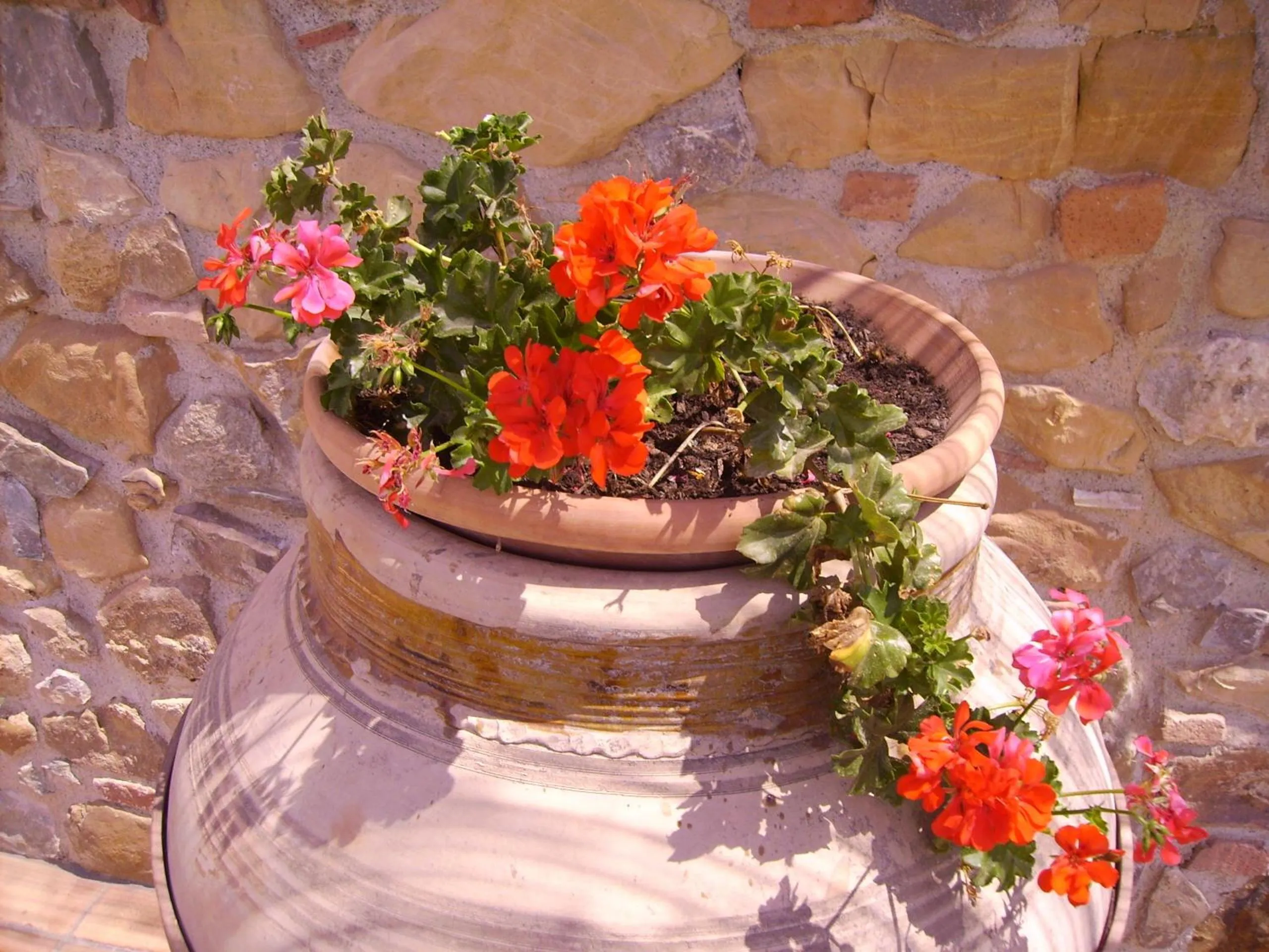 Spring in Terre Di Himera