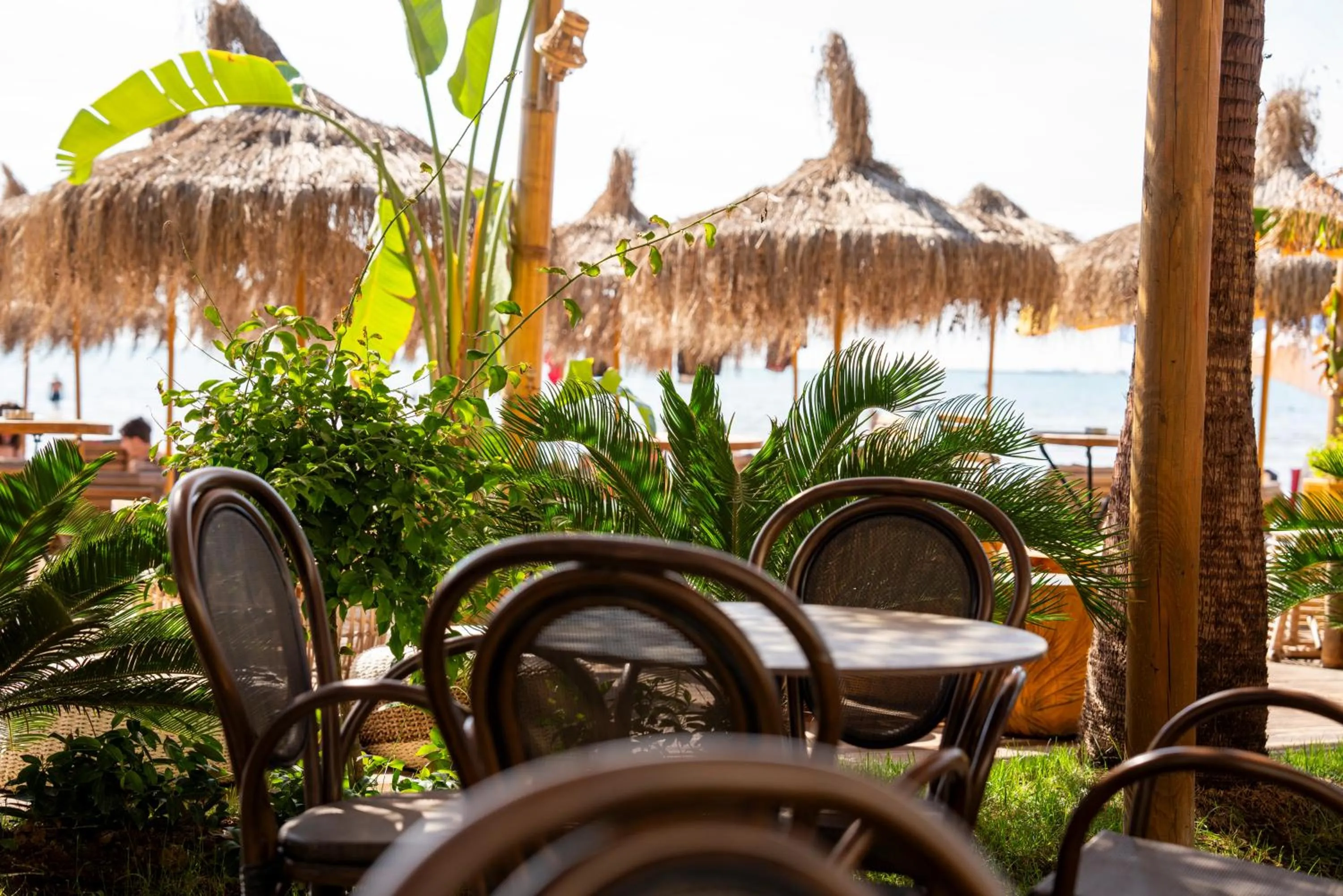 Spring in Hotel Empire Albania