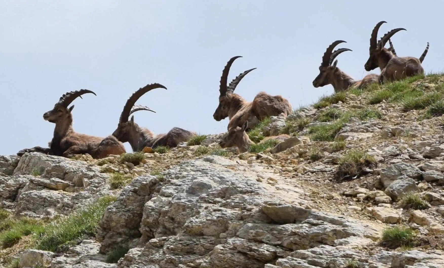 Natural landscape in Hotel le Chalet