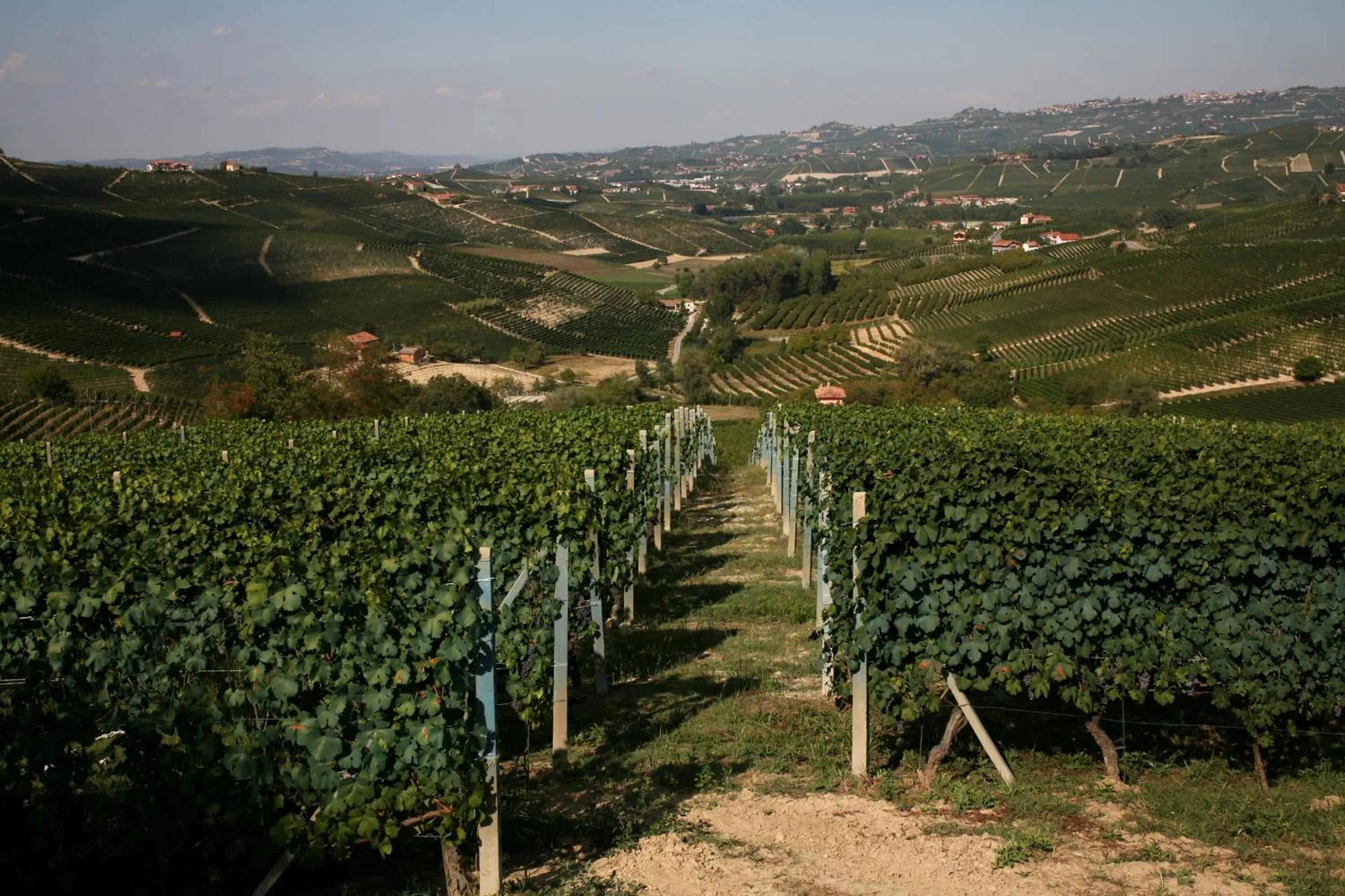 Hotel Barolo Classico