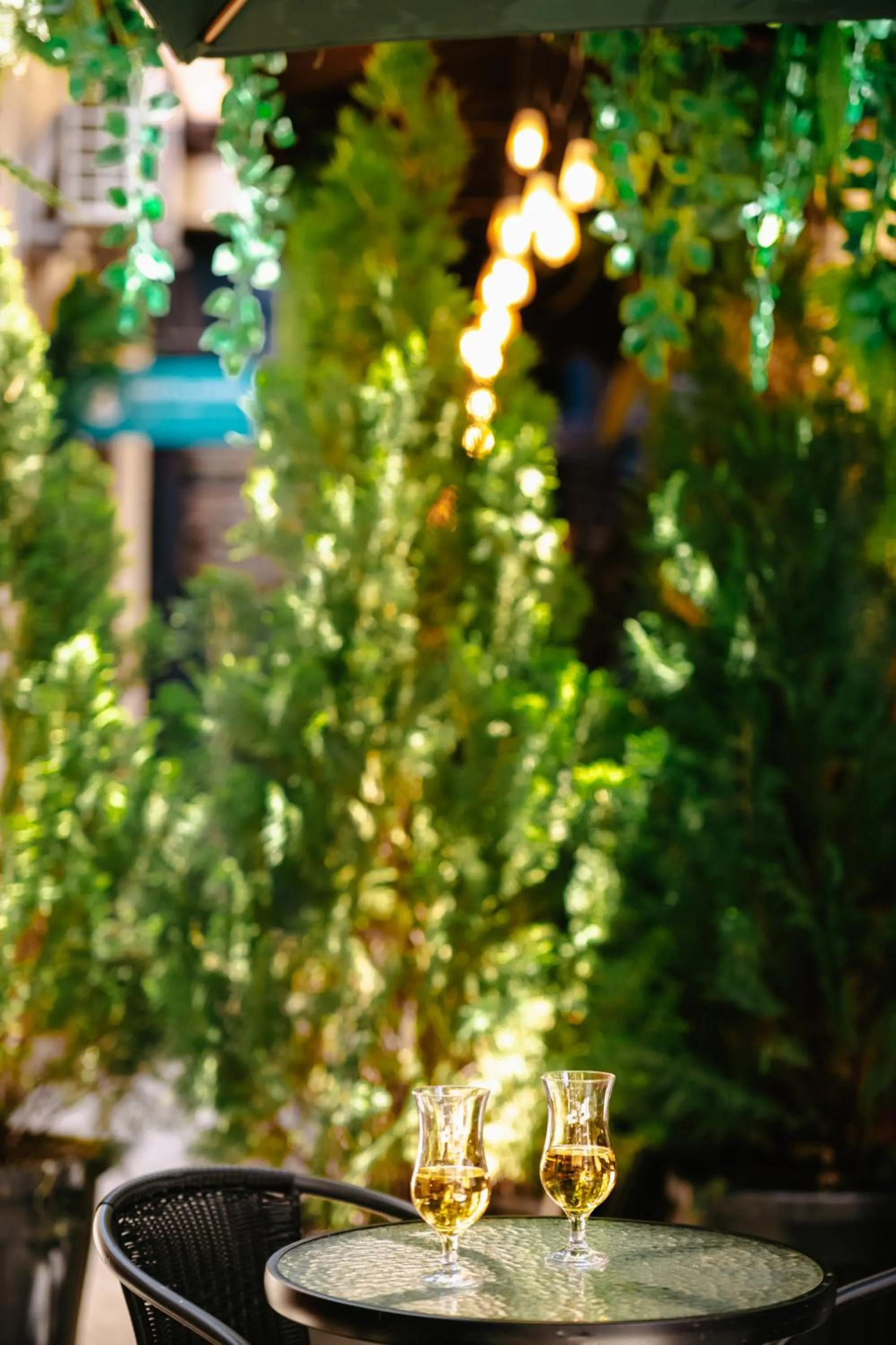 Hotel Imperial House