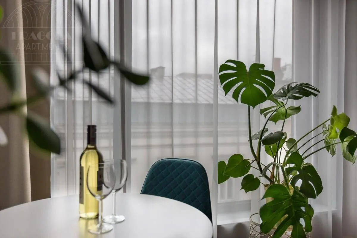 Other in Modern View of Planty Park