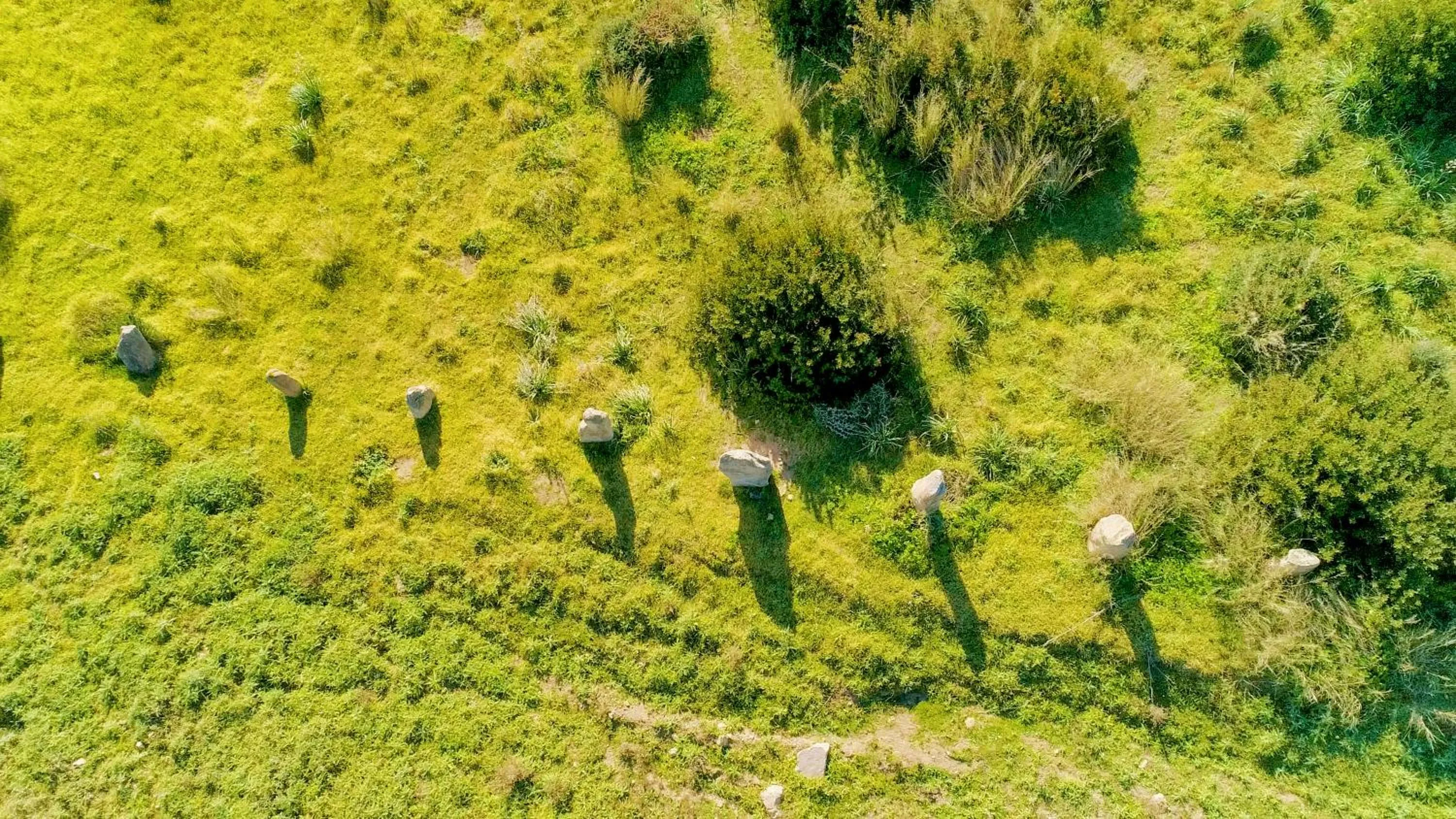 Nearby landmark in Sole d'Estate Agriresidence