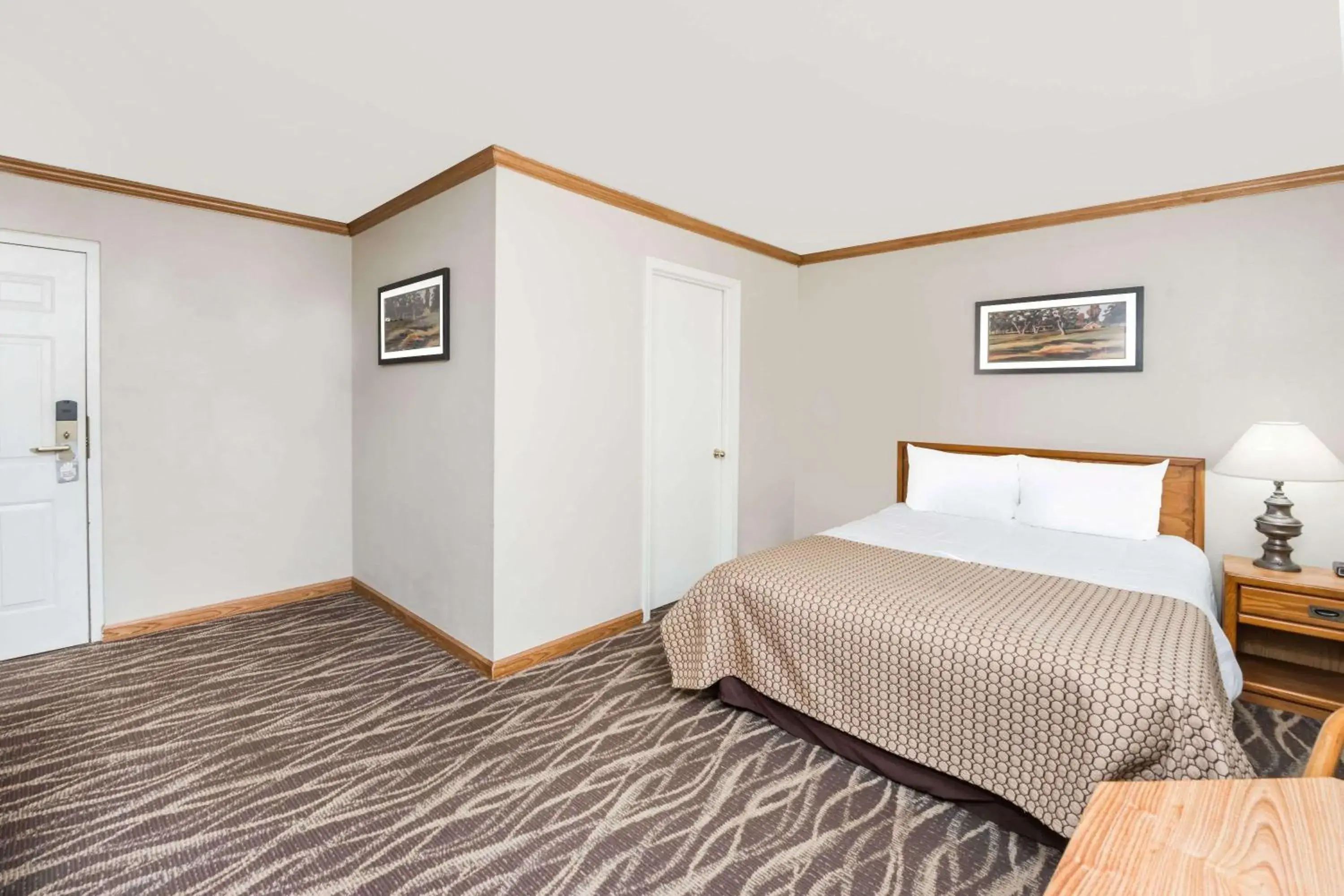 Photo of the whole room, Bed in Knights Inn Jacksonville Photo of the whole room, Bed in Knights Inn Jacksonville