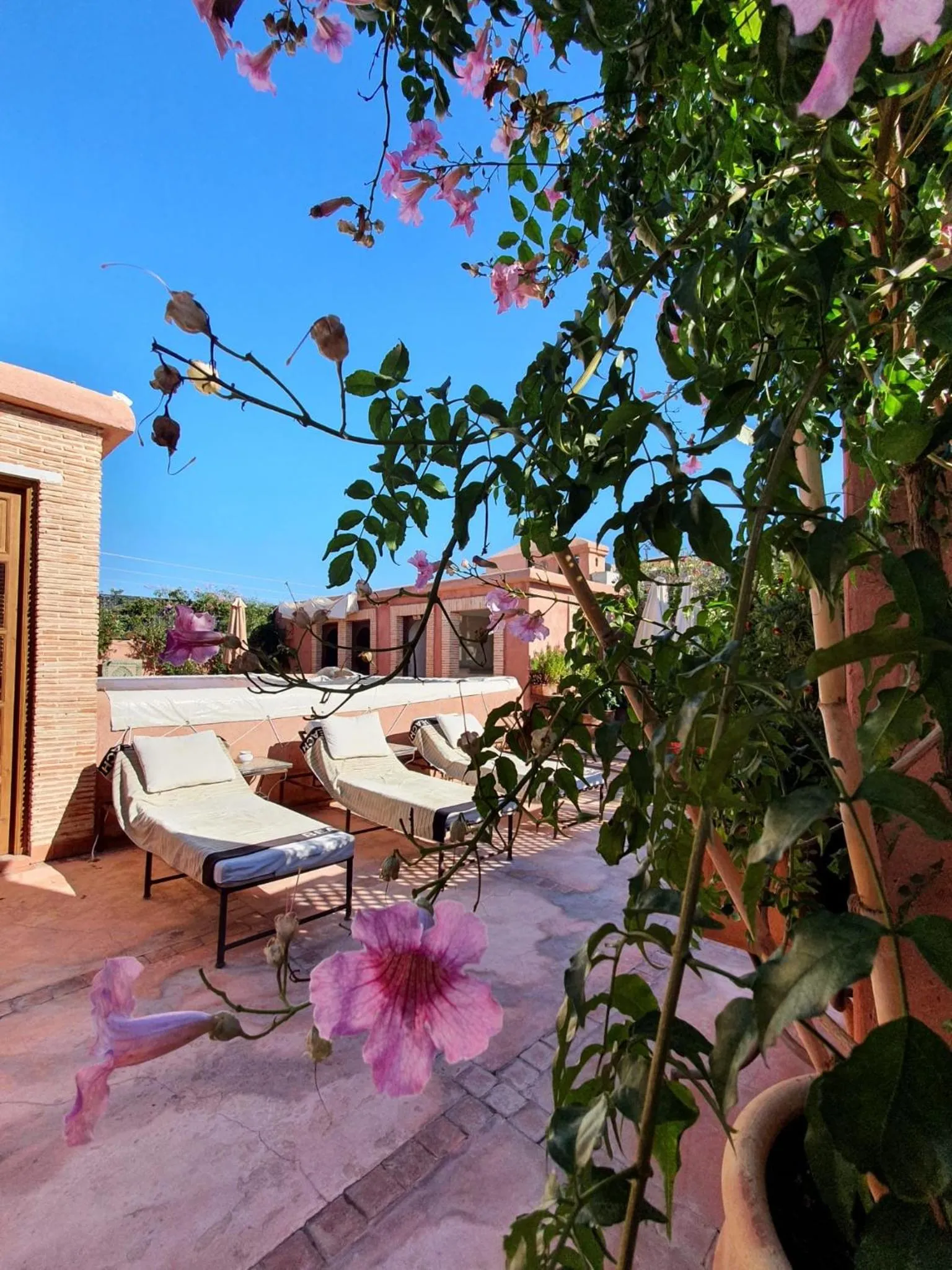 Balcony/Terrace in Riad Chameau FDC Hôtel SPA