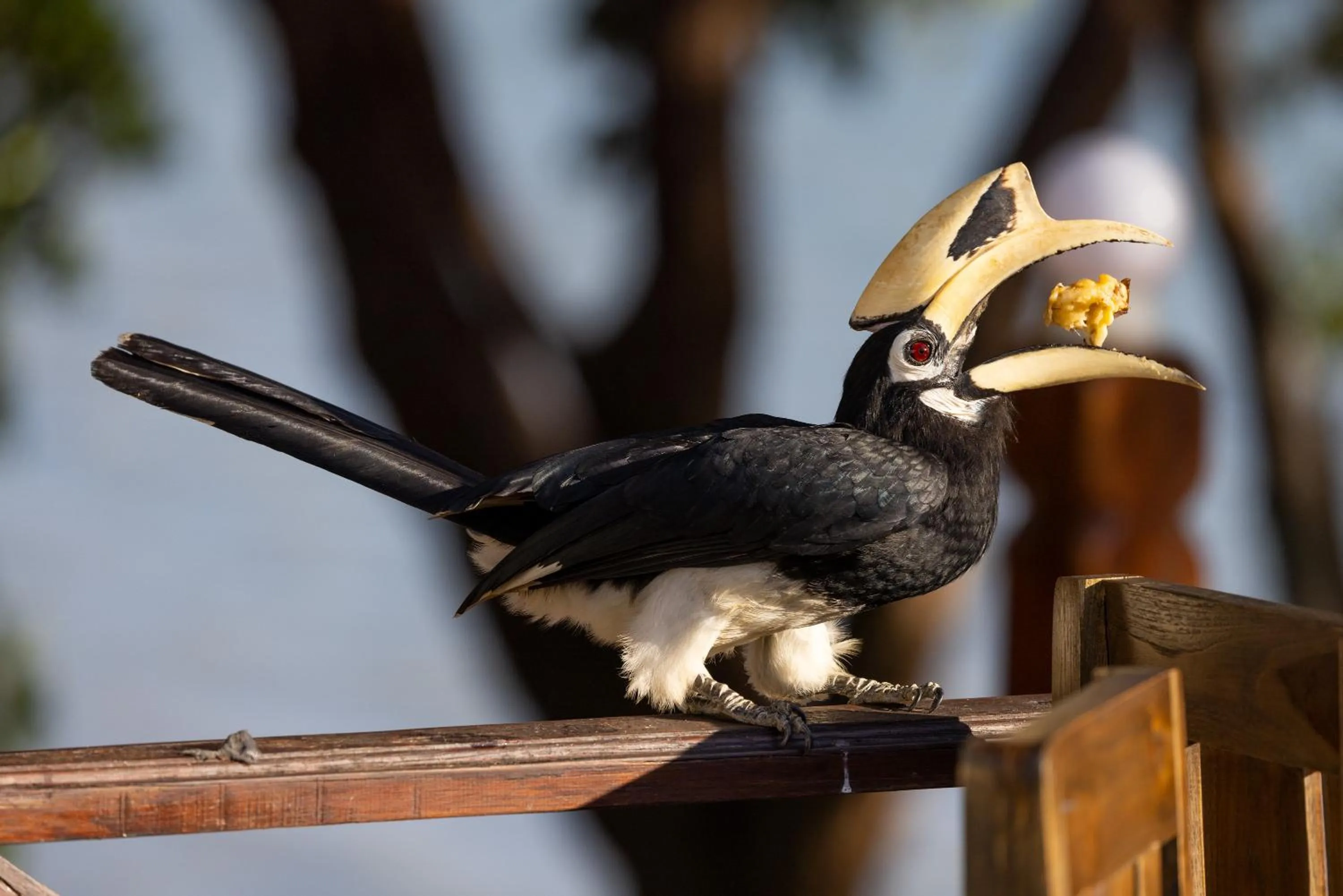 Day in Phayamas Private Beach Resort and Island Brew - Adults Only