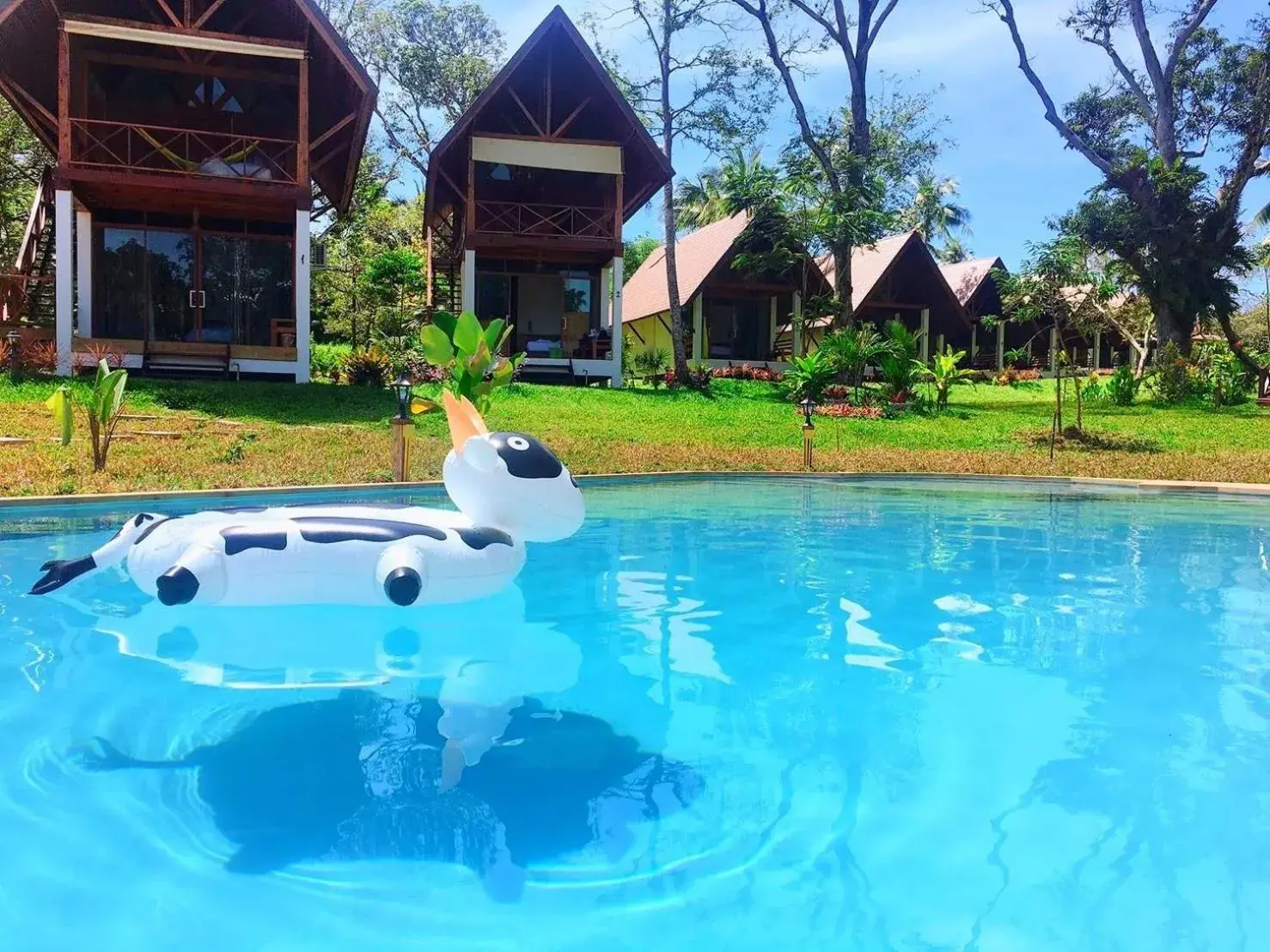 Swimming pool in Phayamas Private Beach Resort and Island Brew - Adults Only Swimming pool in Phayamas Private Beach Resort and Island Brew - Adults Only