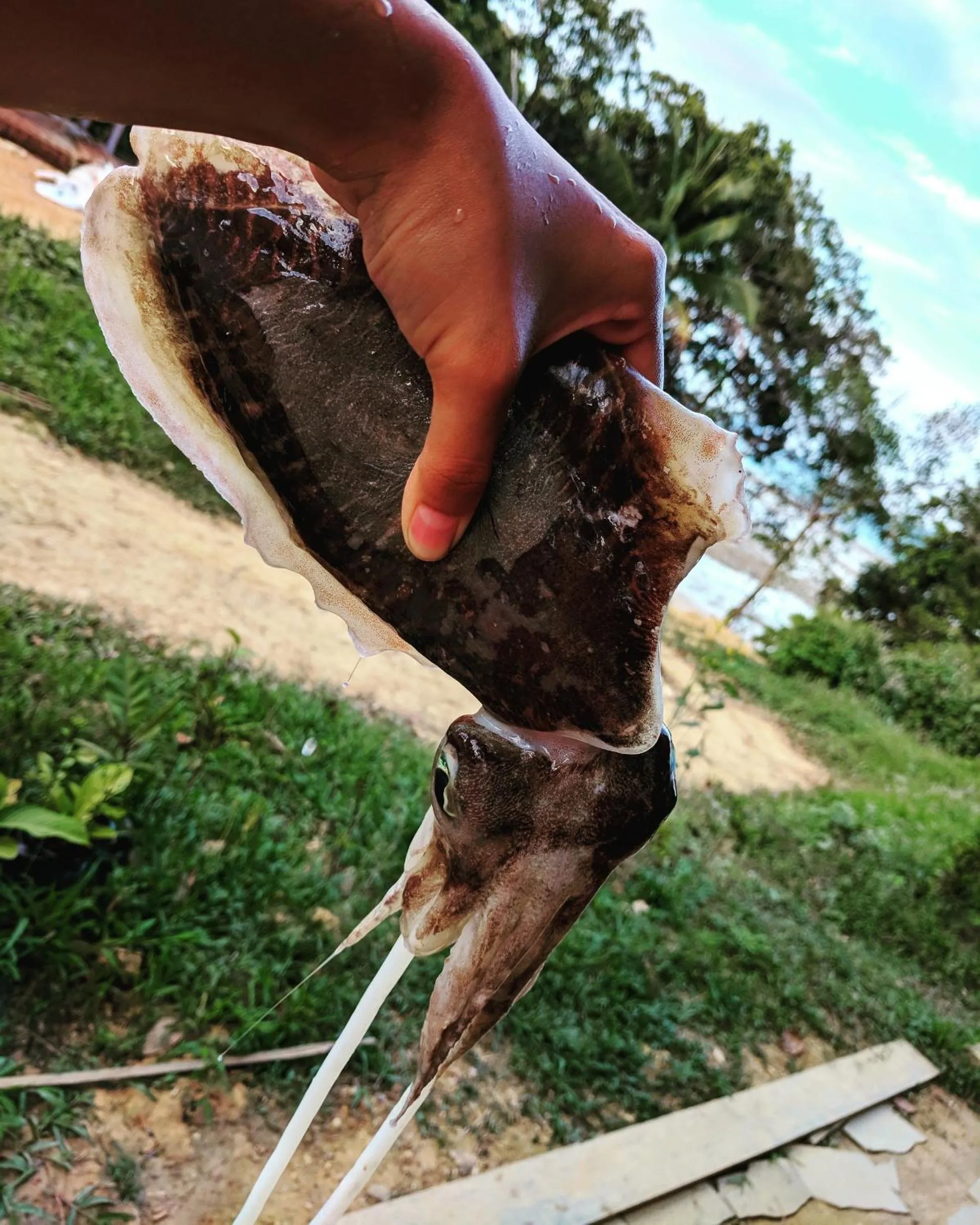 Food in Phayamas Private Beach Resort and Island Brew - Adults Only