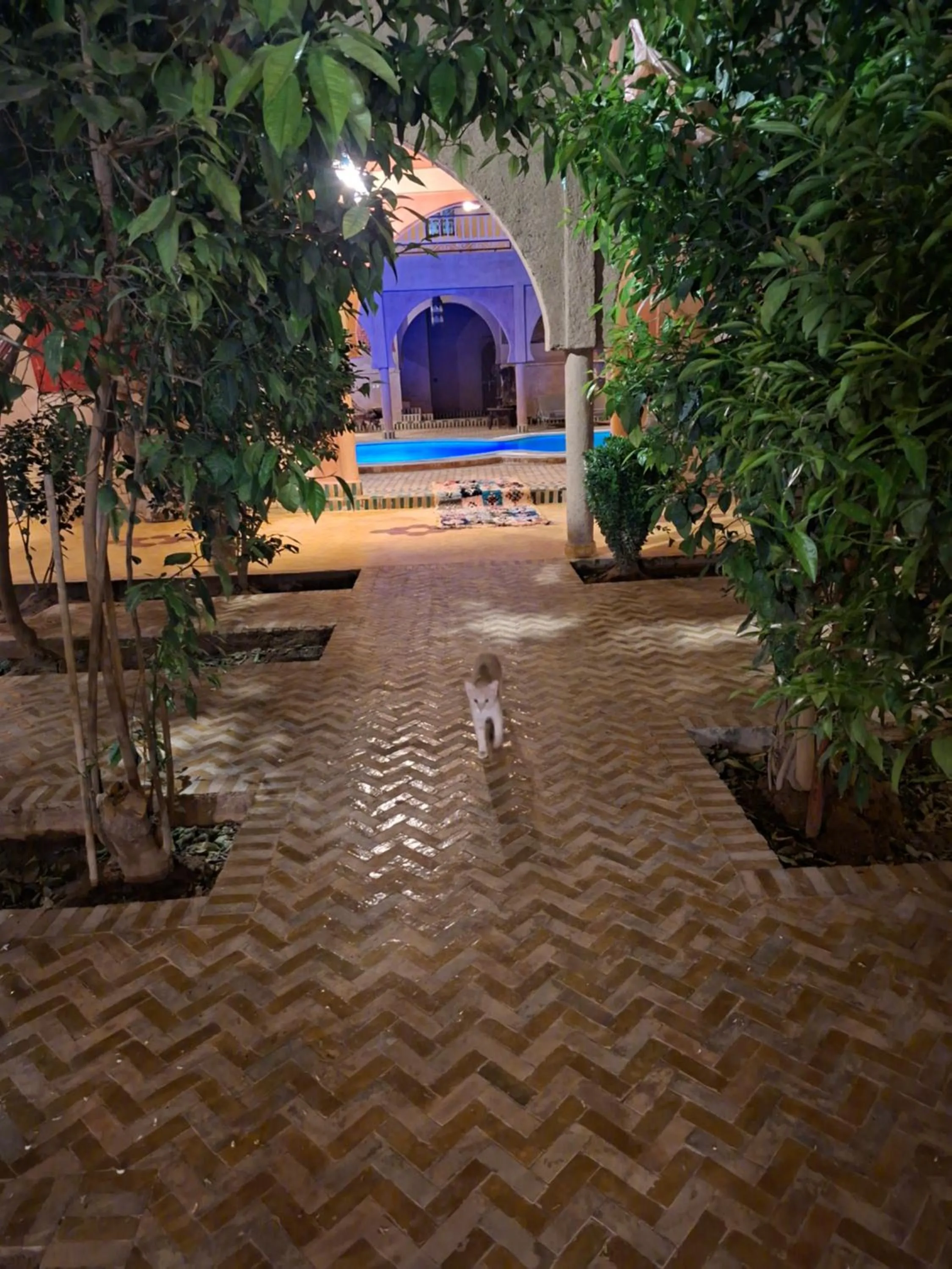 Maison Merzouga Guest House
