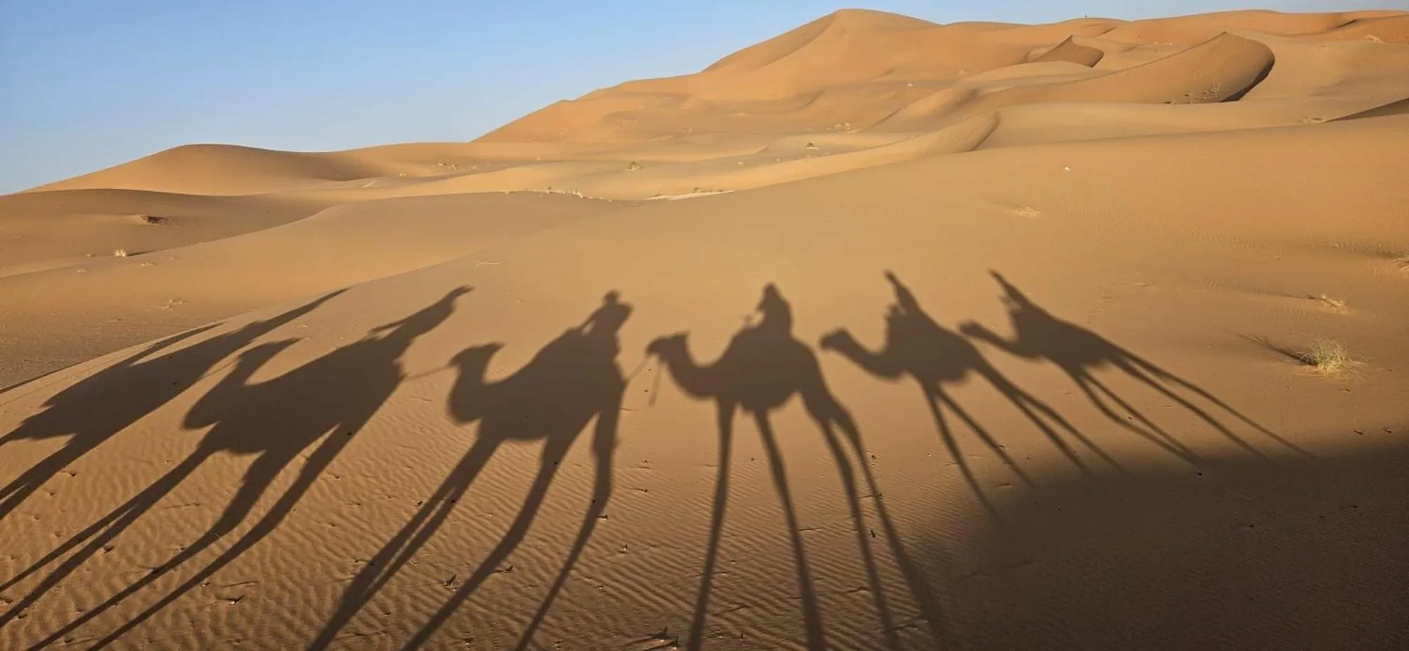 Maison Merzouga Guest House