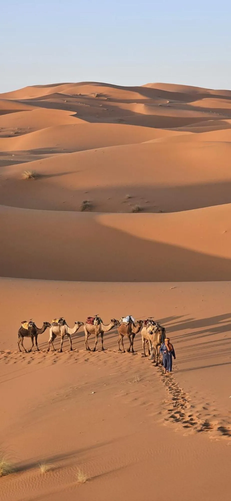 Maison Merzouga Guest House