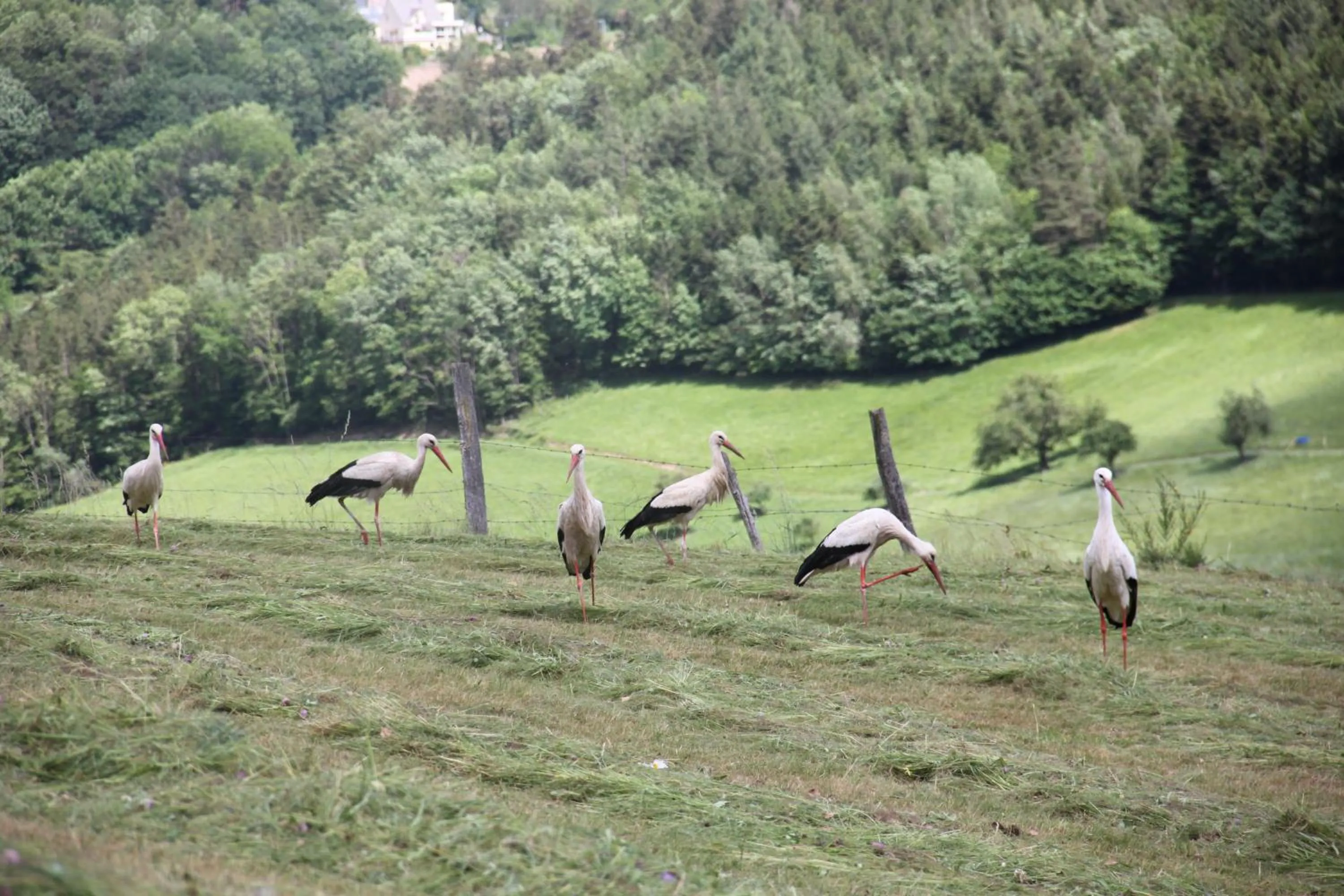 La Colline Du Baa - Maison d'hôtes d'exception