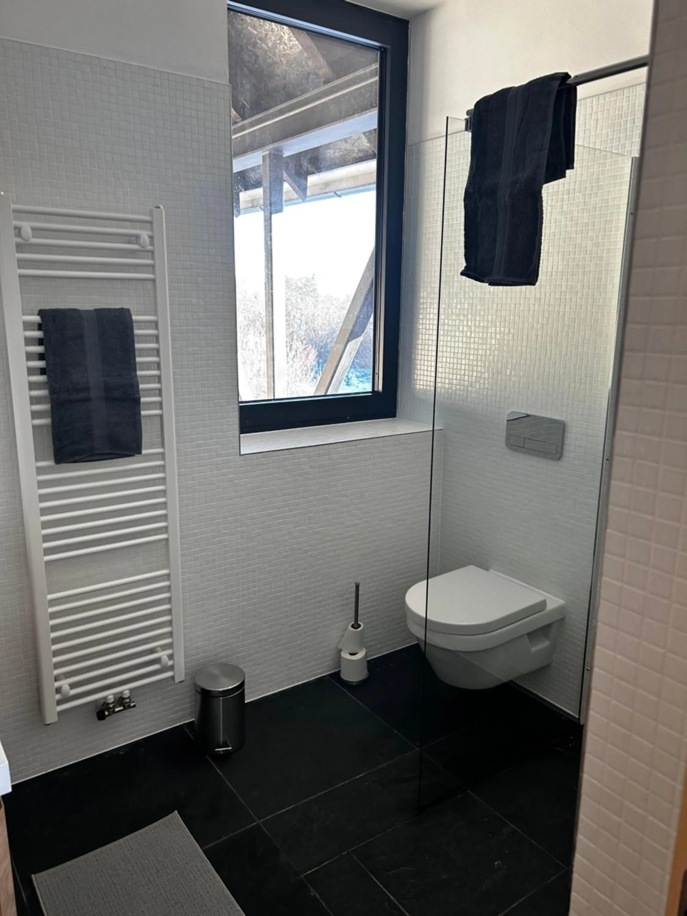 Toilet in Palace Resort Jíloviště