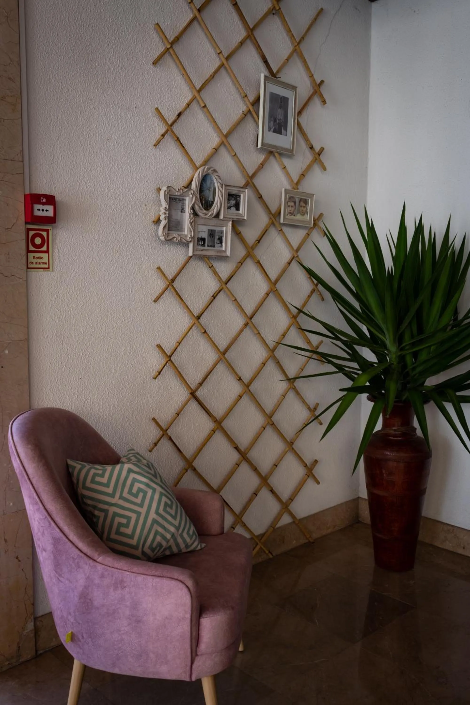 Communal lounge/ TV room in Hotel Santa Cecília