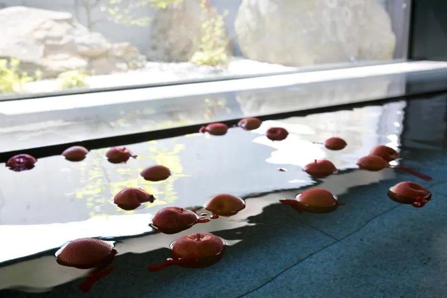 Hot Spring Bath in Horohoro Sanso