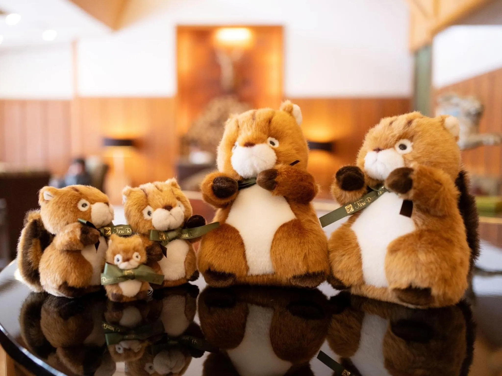 Other in Kusatsu Now Resort Hotel