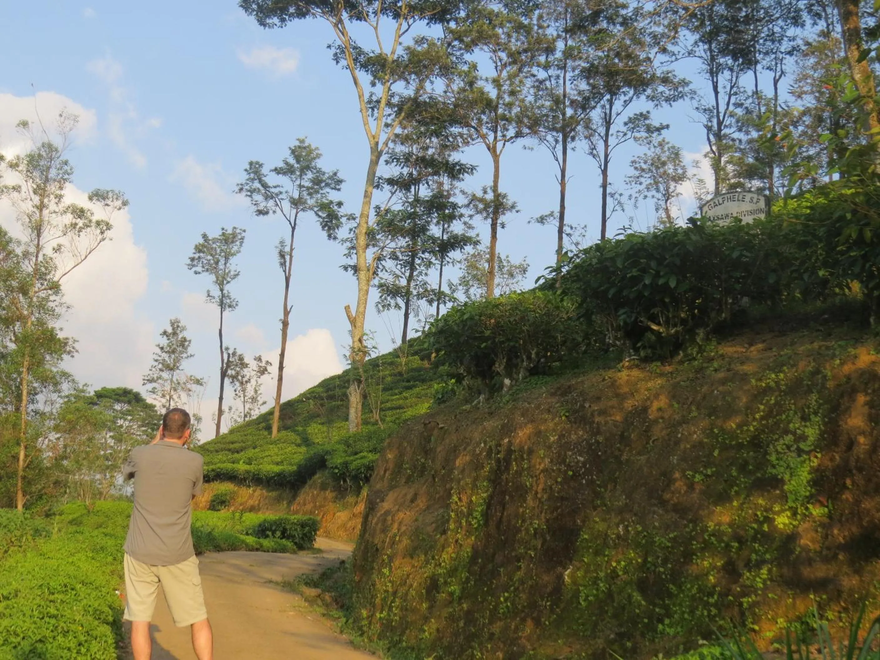 Activities in Polwaththa Eco Lodges