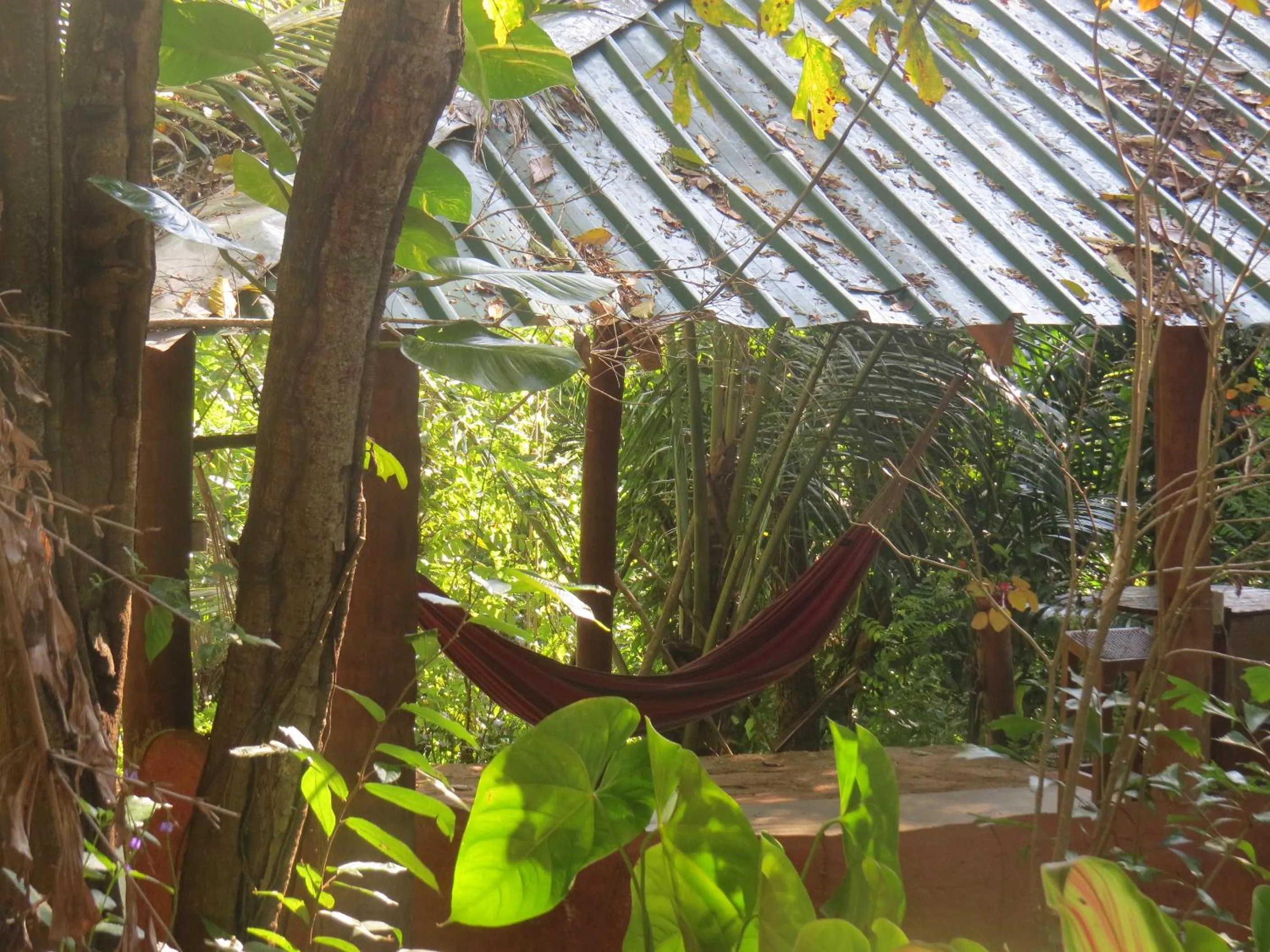 Communal lounge/ TV room in Polwaththa Eco Lodges