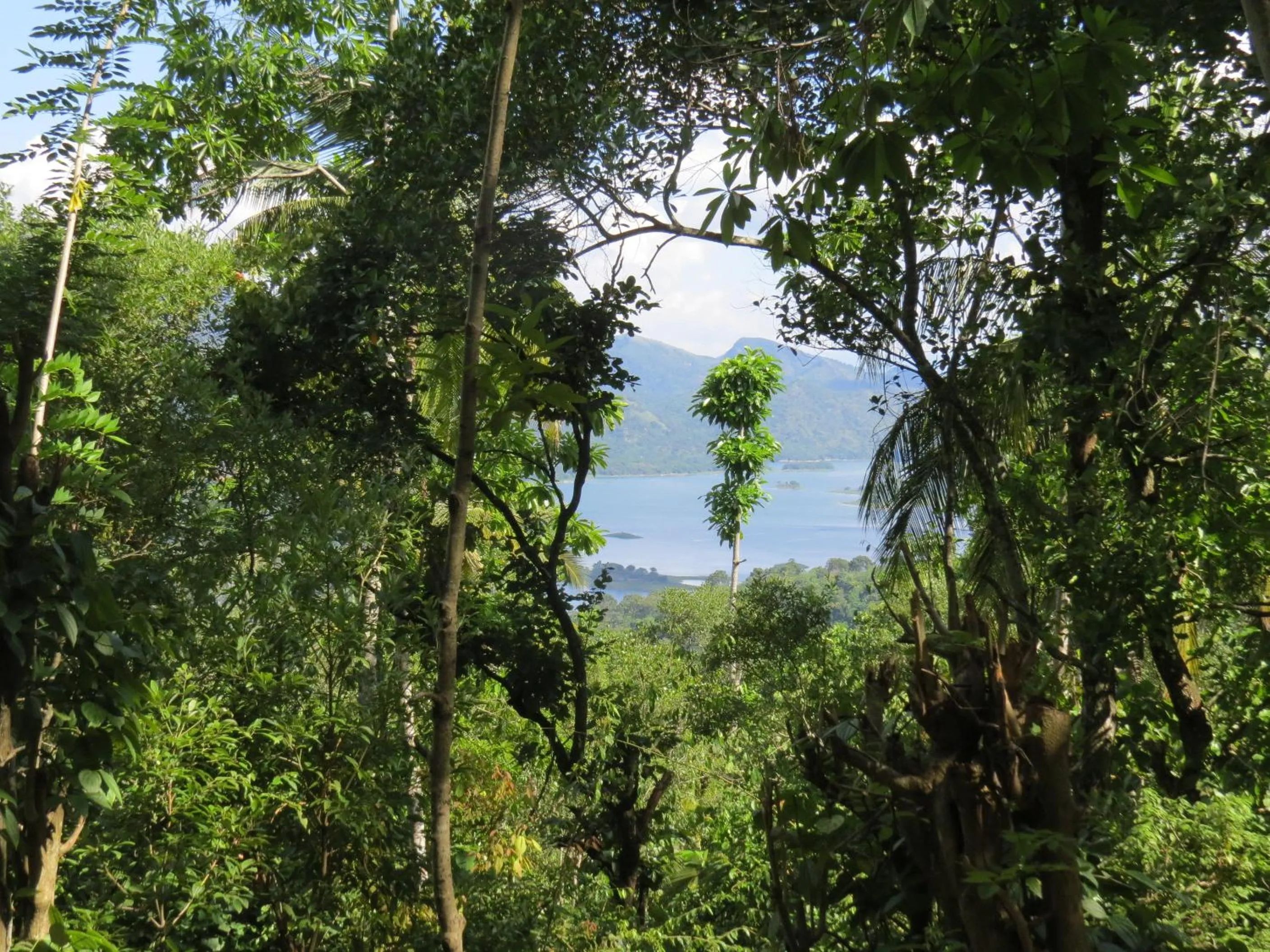 Lake view in Polwaththa Eco Lodges