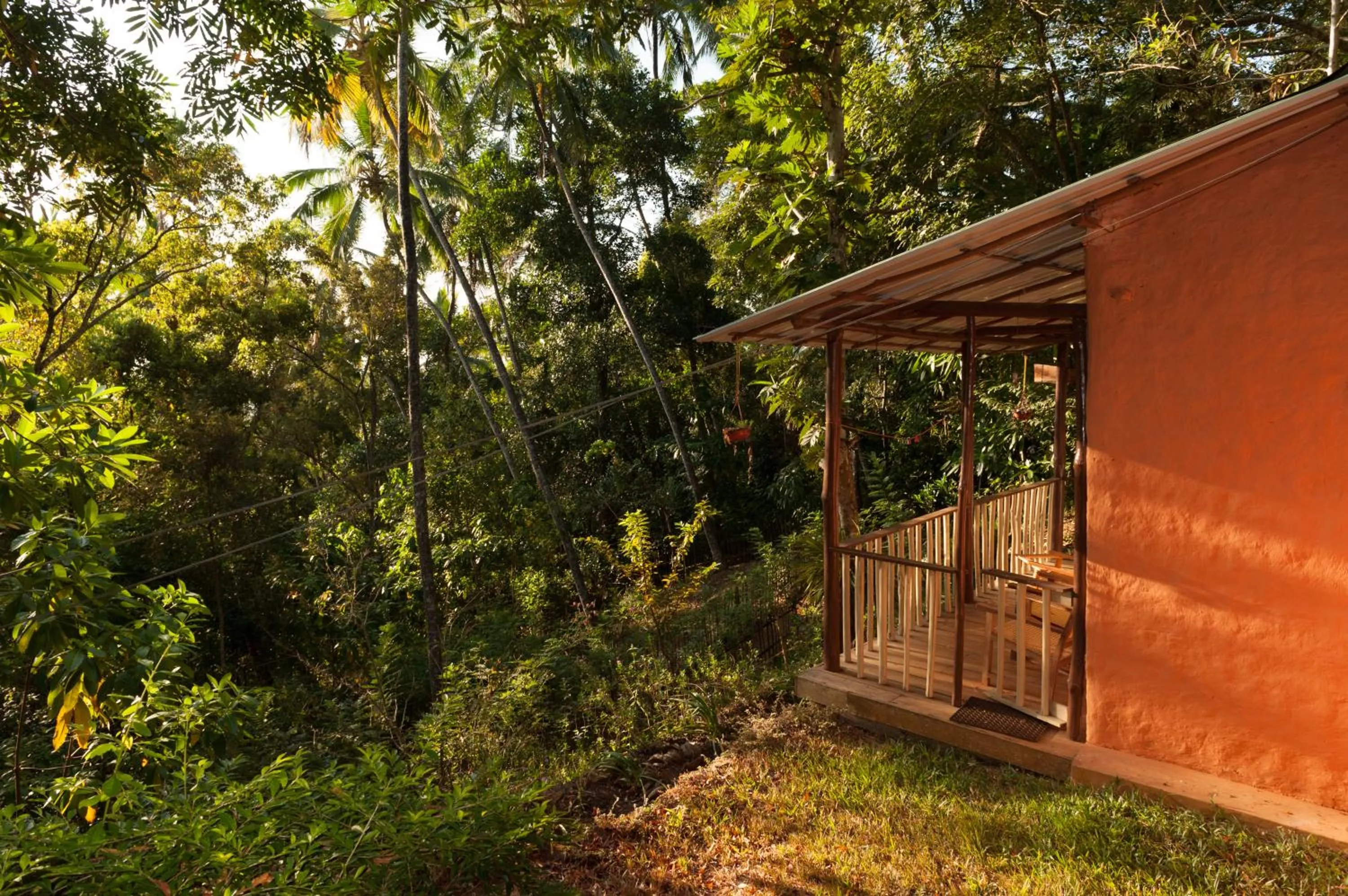 Natural landscape in Polwaththa Eco Lodges