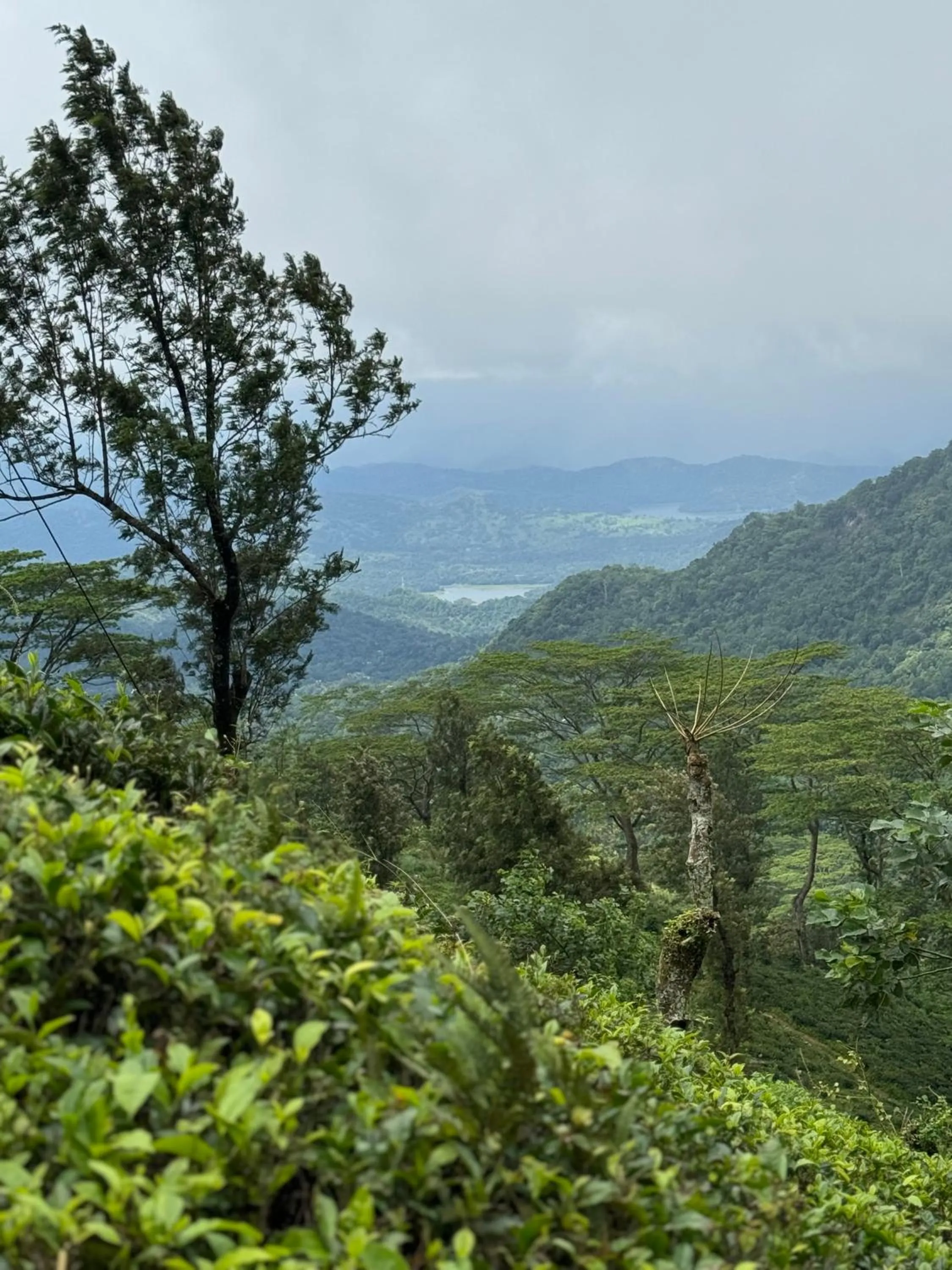Hiking in Polwaththa Eco Lodges